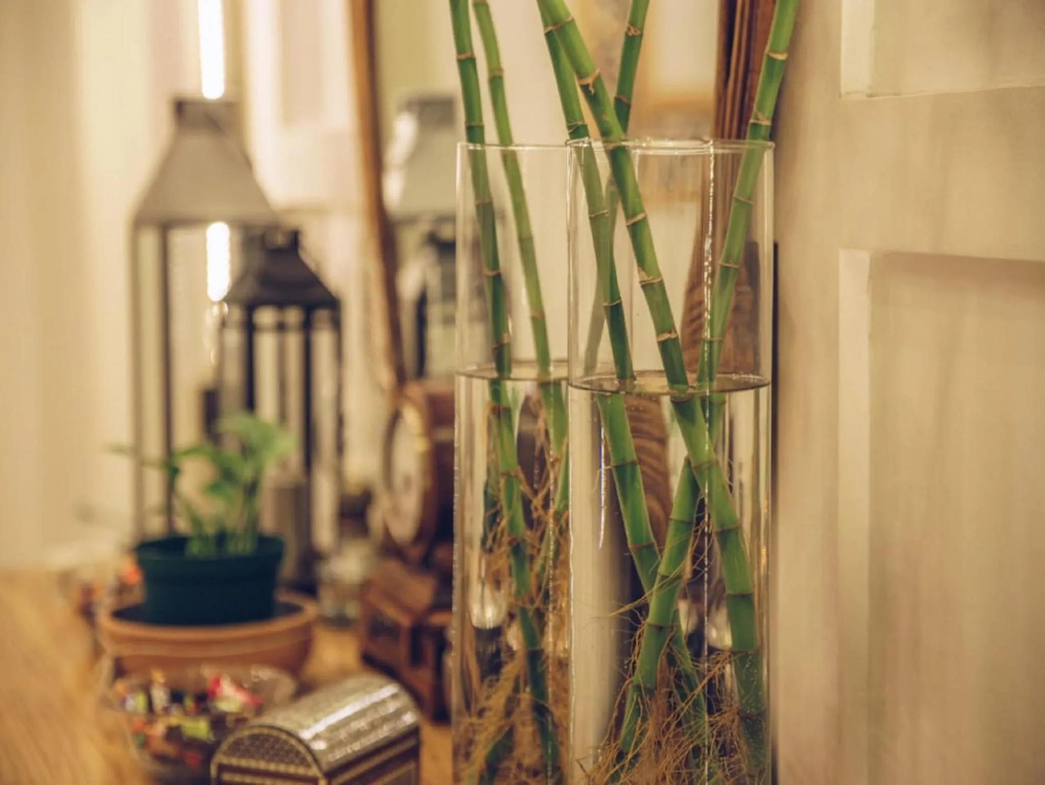 Garden in Paris Hotel Cairo