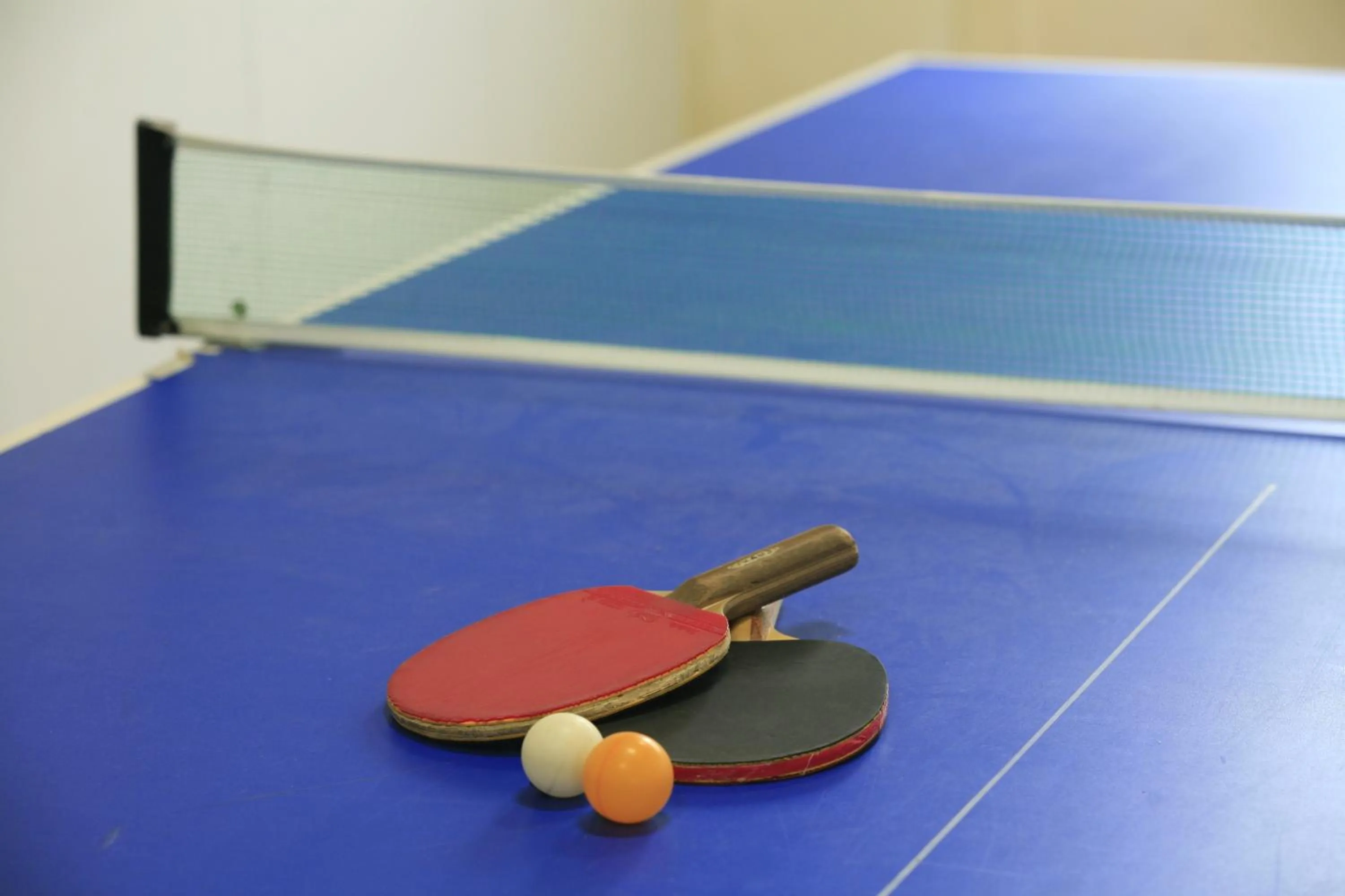 Table tennis in Yudanaka Seifuso