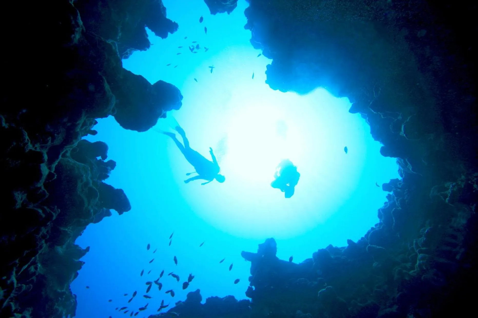 Diving in LUX* South Ari Atoll Resort & Villas