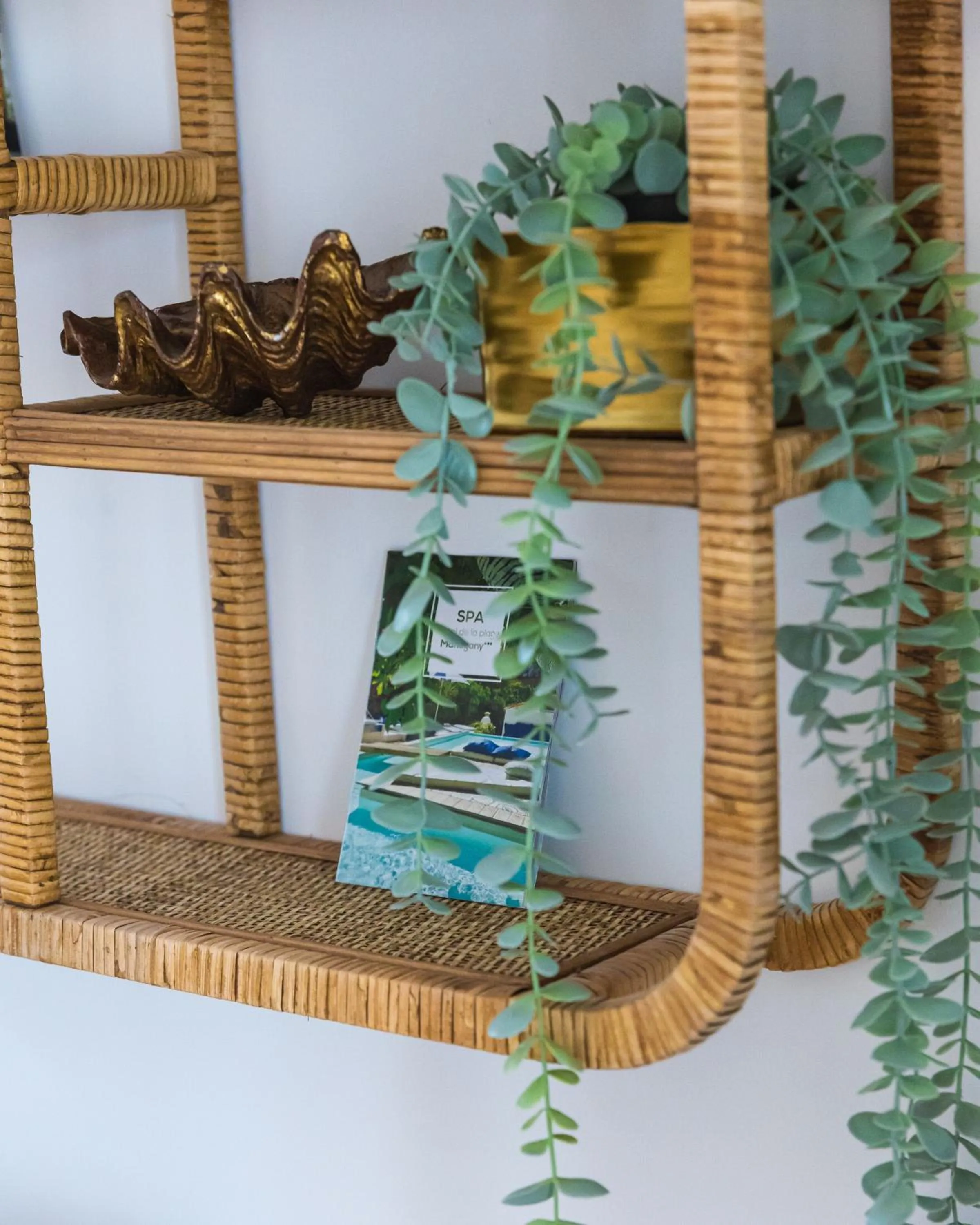 Decorative detail in Hotel de La Plage - Mahogany