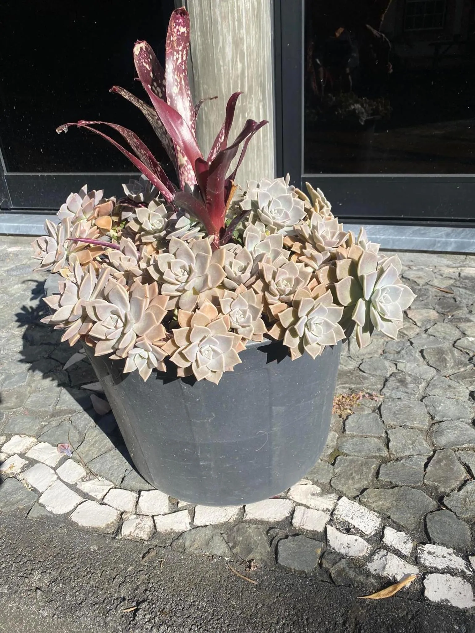 Garden in Apartamentos Turisticos Verdemar