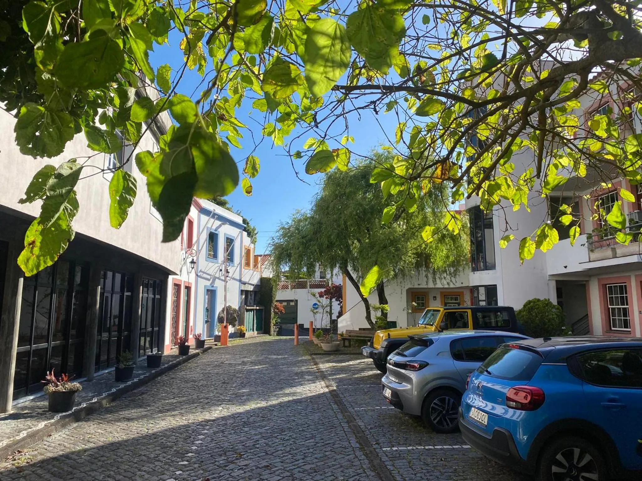 Patio in Apartamentos Turisticos Verdemar