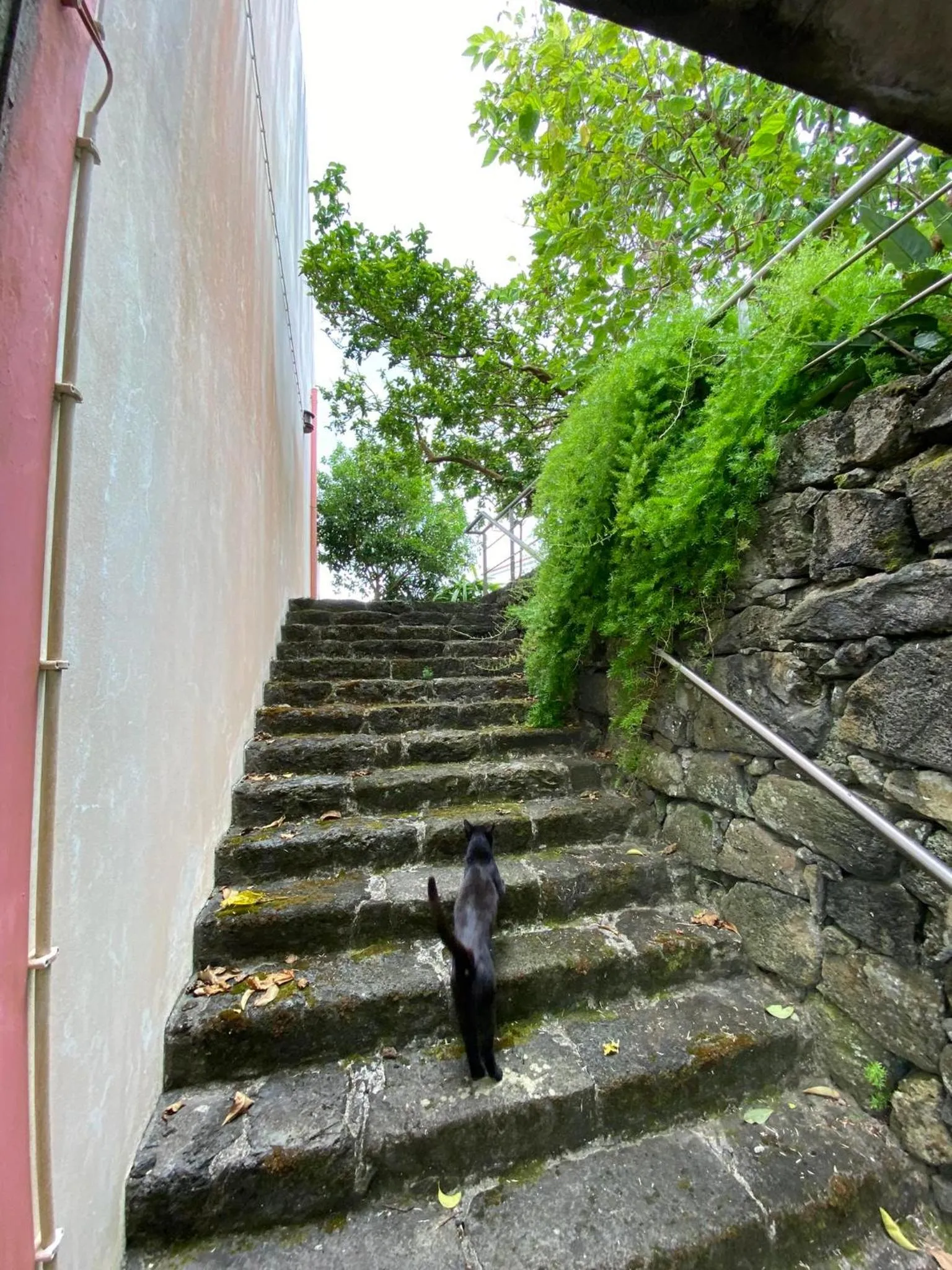 Garden in Apartamentos Turisticos Verdemar
