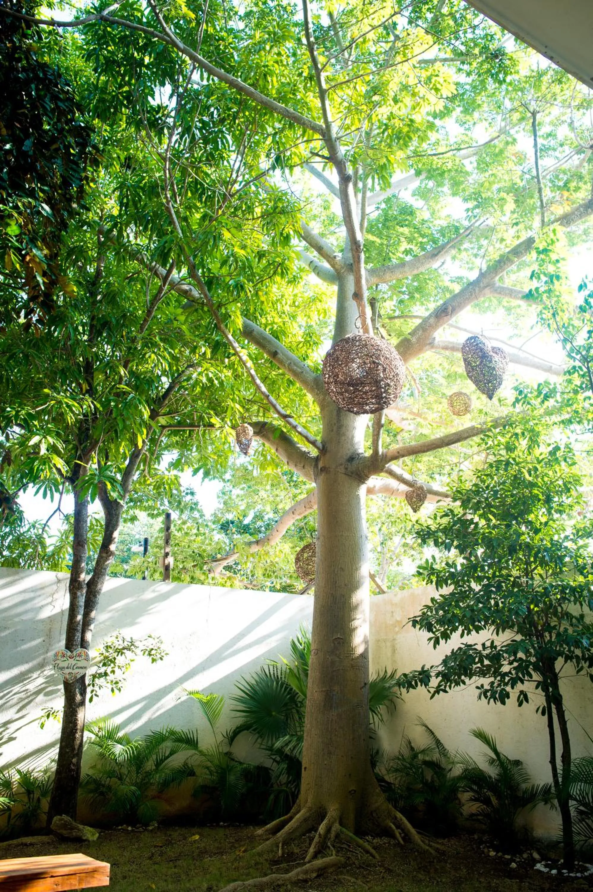 Garden in Suites Cielo y Mar