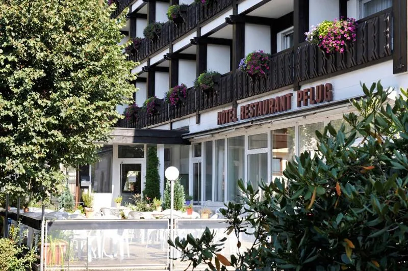 Facade/entrance in Hotel Pflug