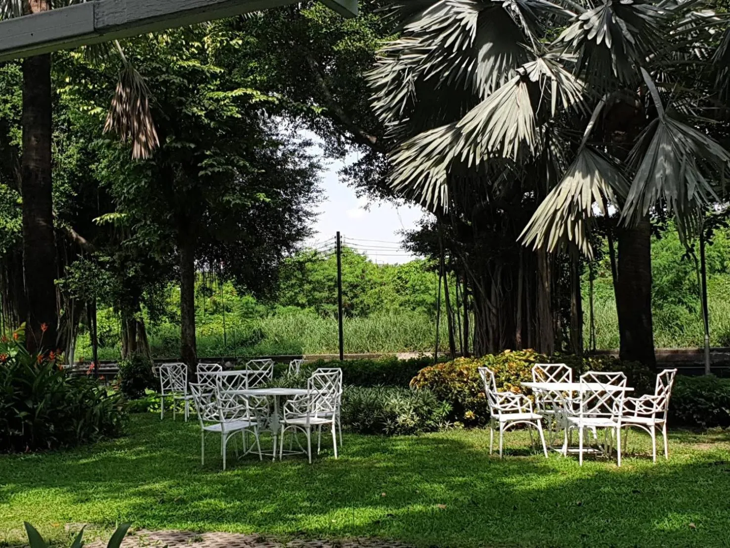 Natural landscape in Montien Riverside Hotel Bangkok