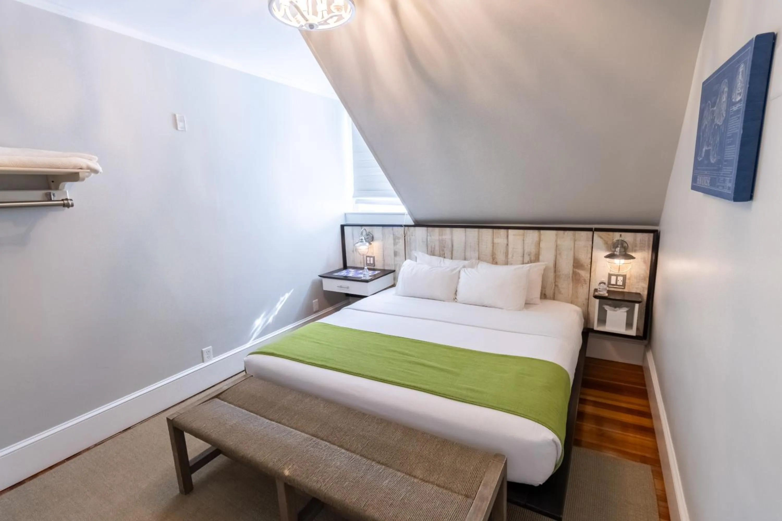 Bed in Paws on Pelham