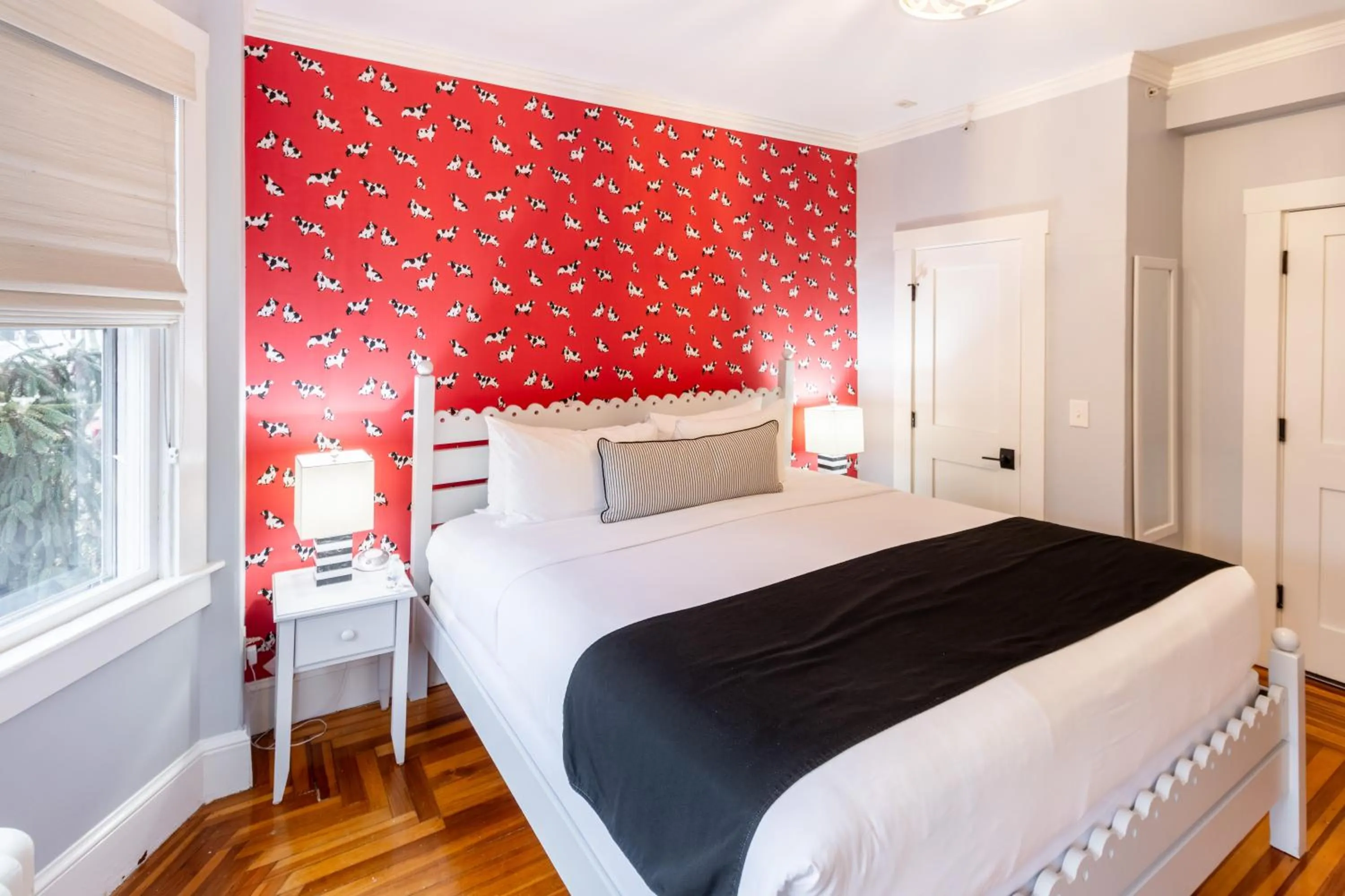 Bed in Paws on Pelham