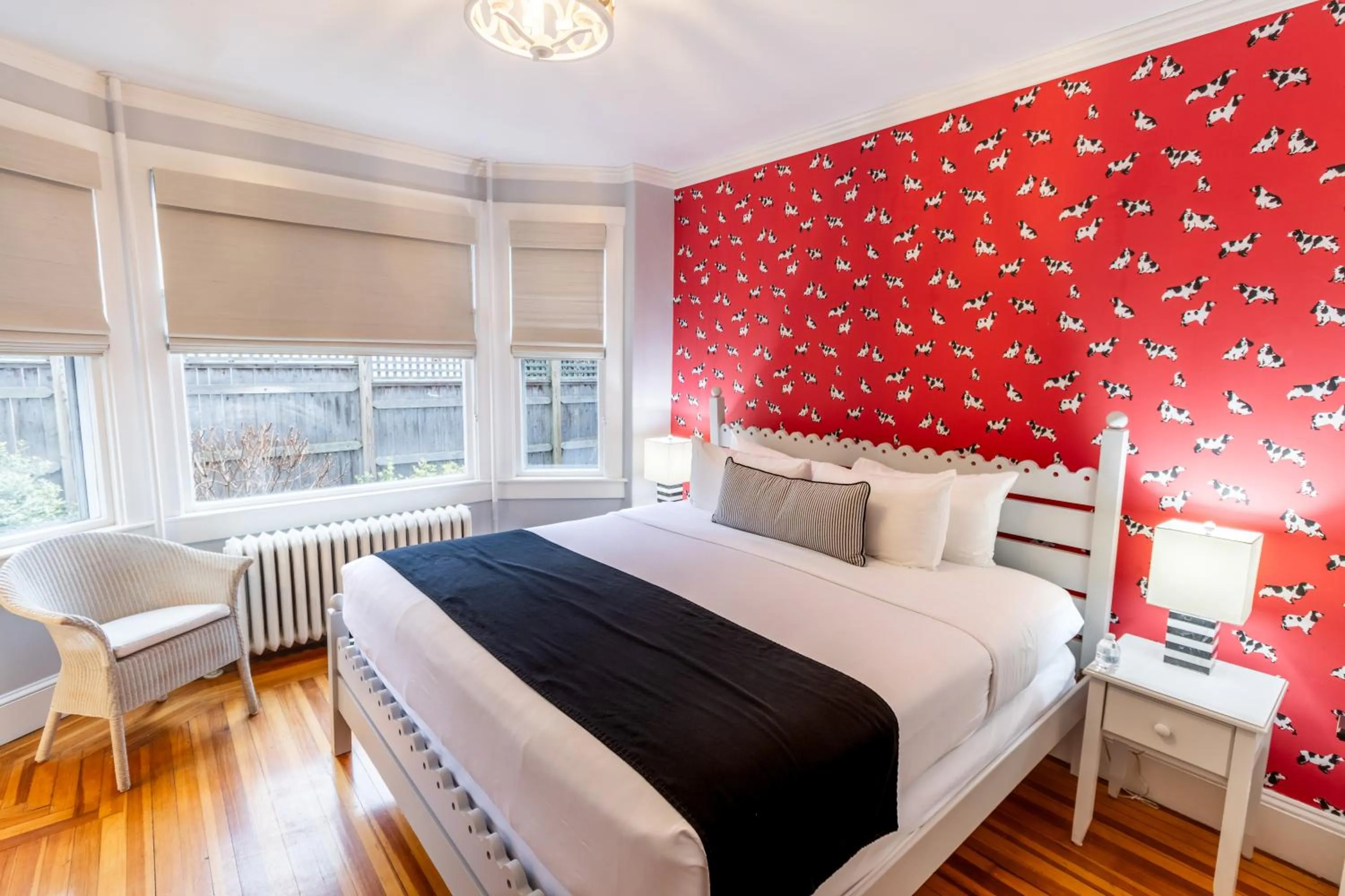 Bed in Paws on Pelham