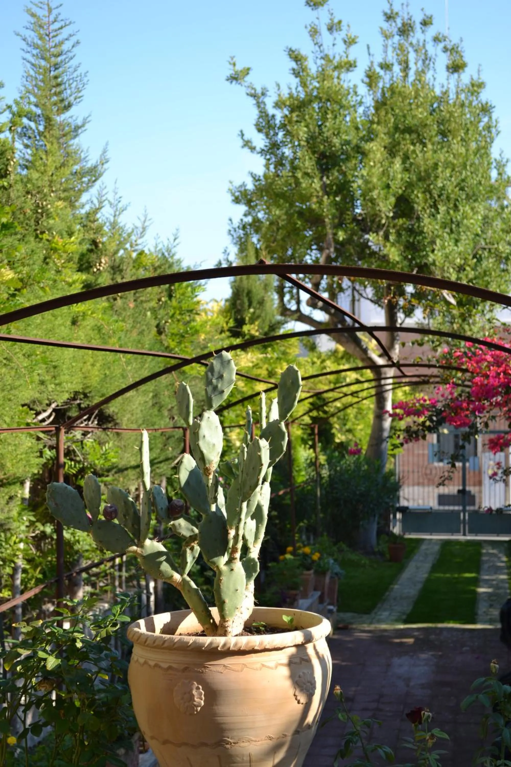 Le Signorine B&B Lecce