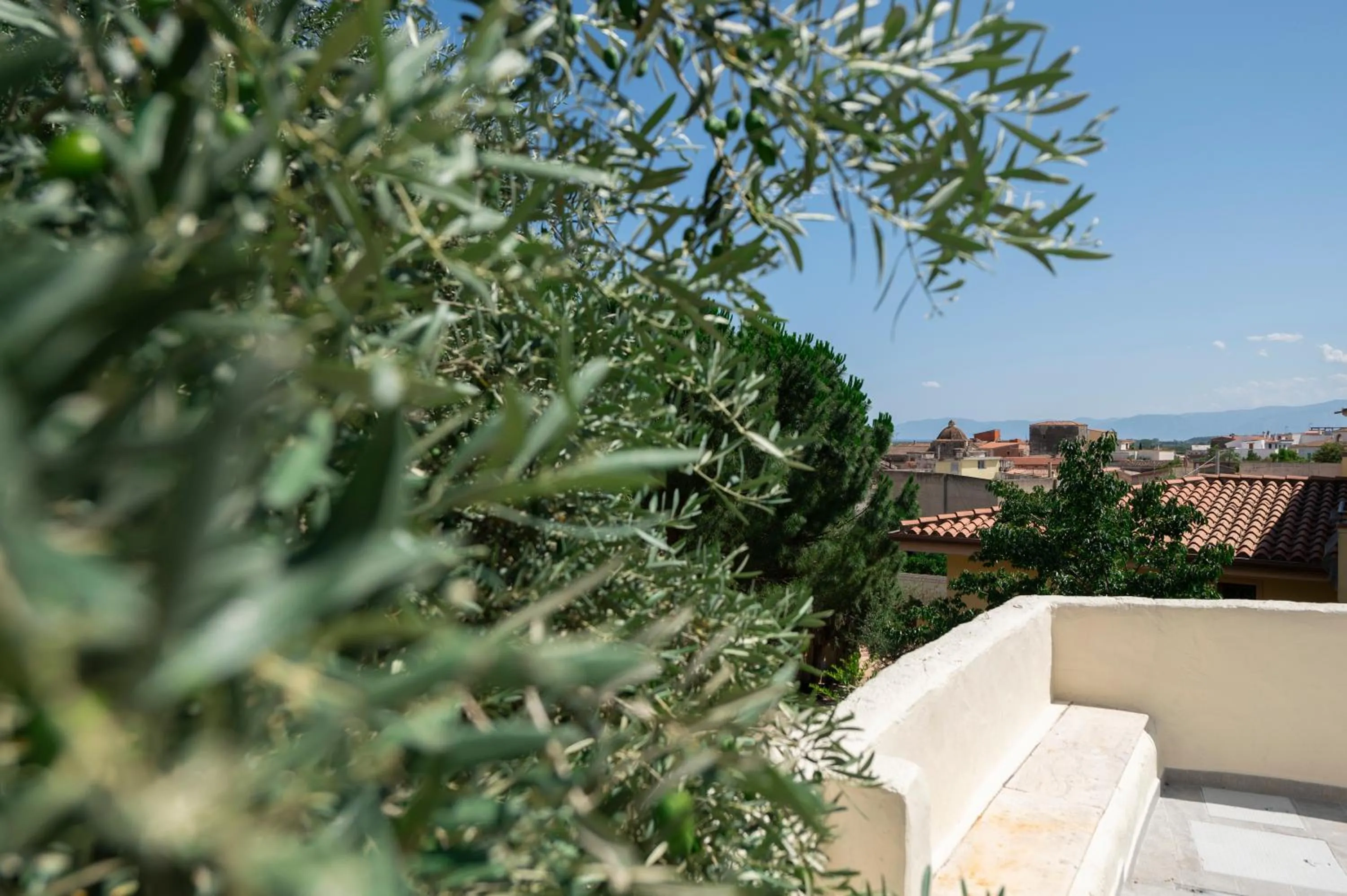 View (from property/room) in Hotel Gli Ulivi