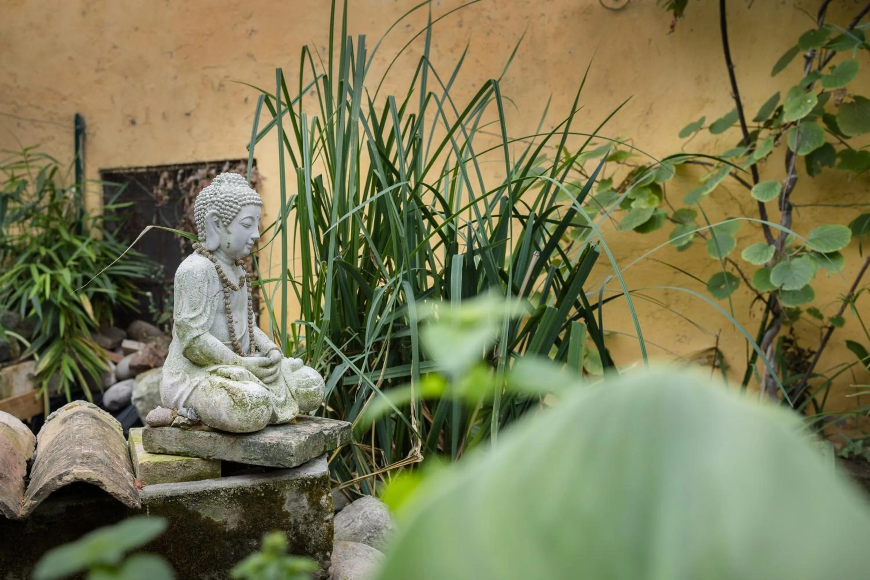 Garden in B&B Corte del Mincio