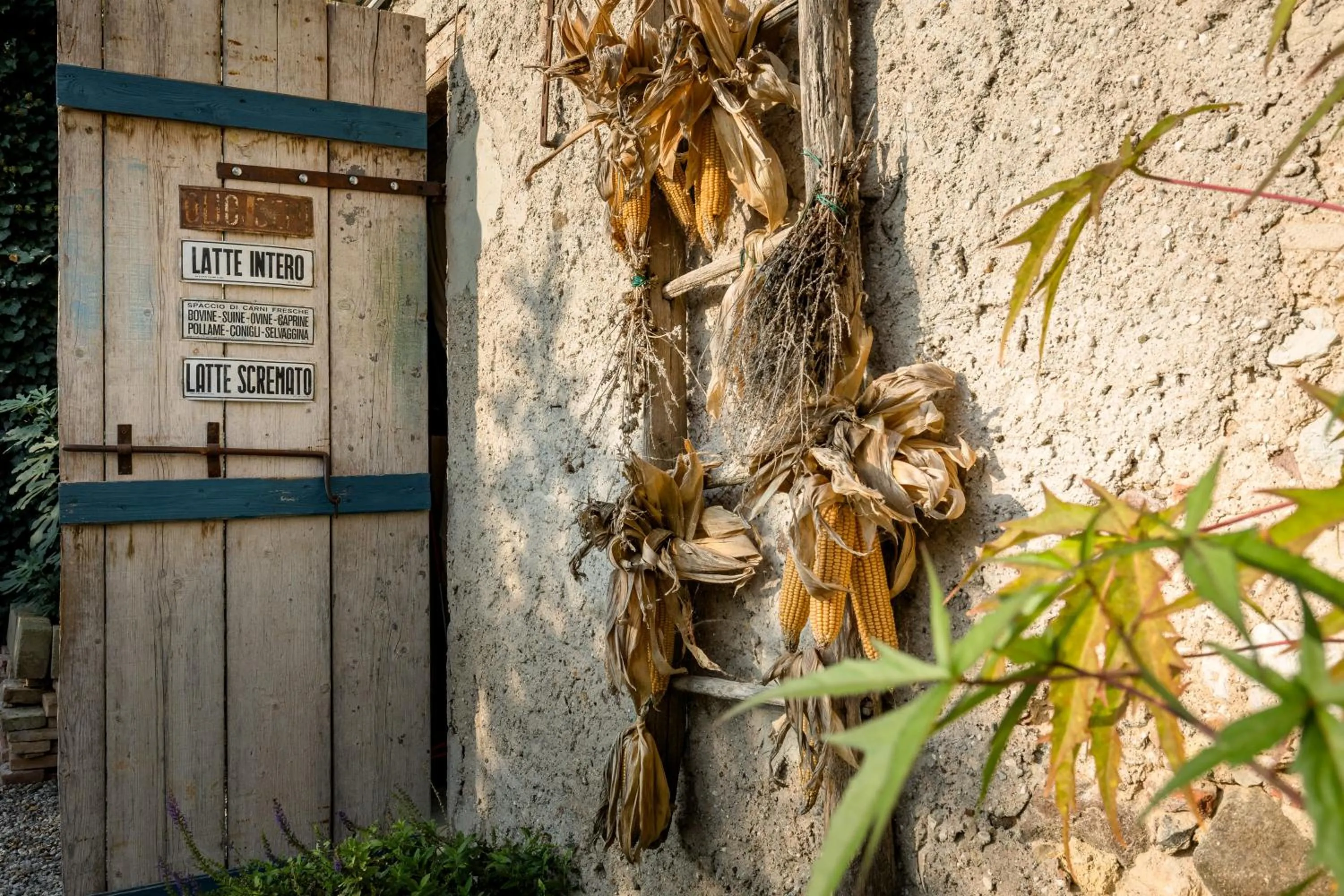 Day in B&B Corte del Mincio