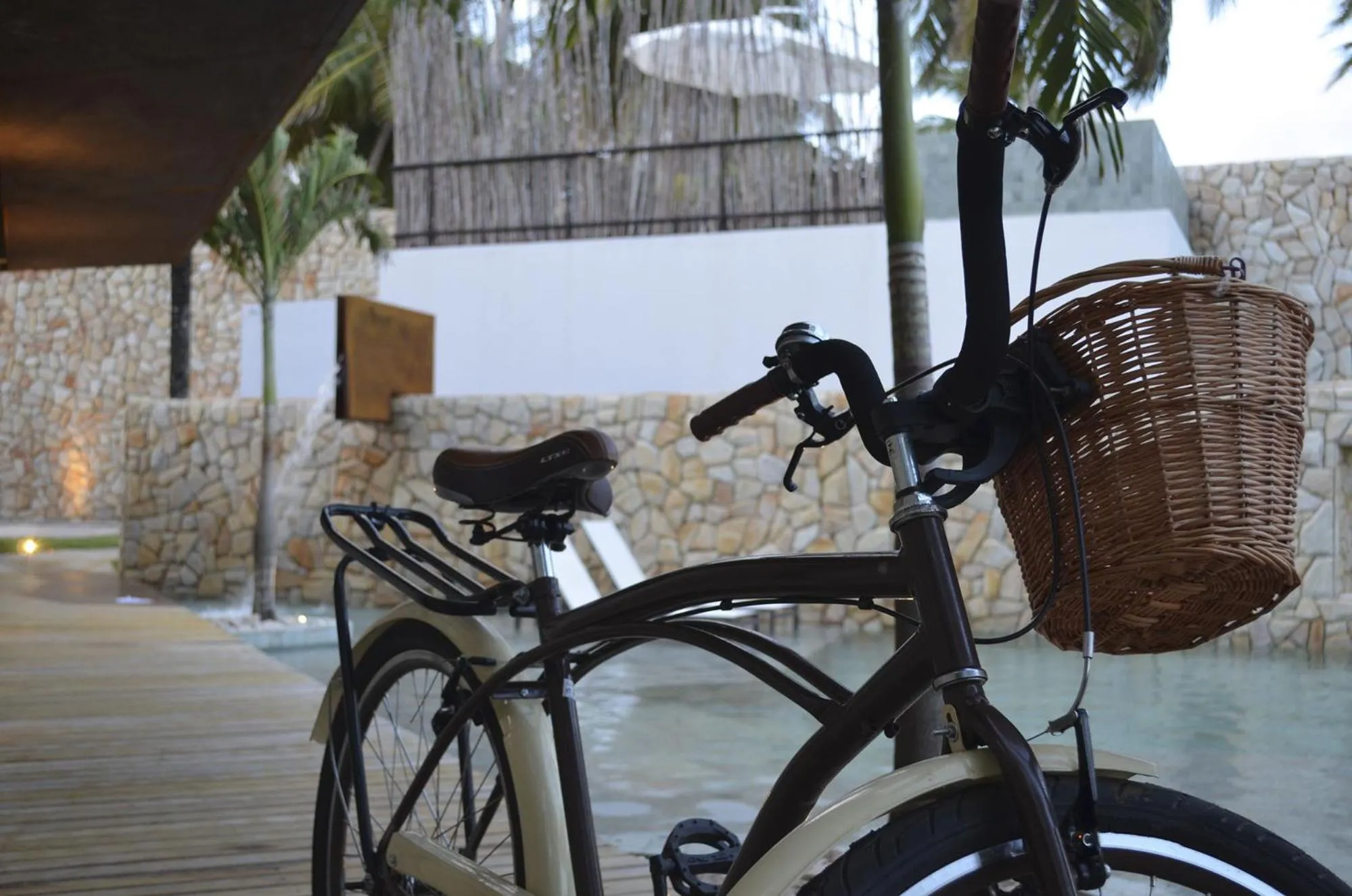 Activities in Pedras Do Patacho Hotel Boutique Experience