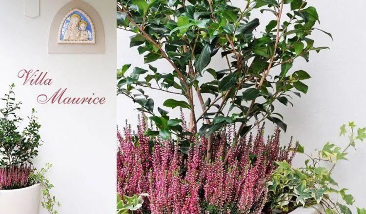 Property logo or sign in Residence Villa Maurice