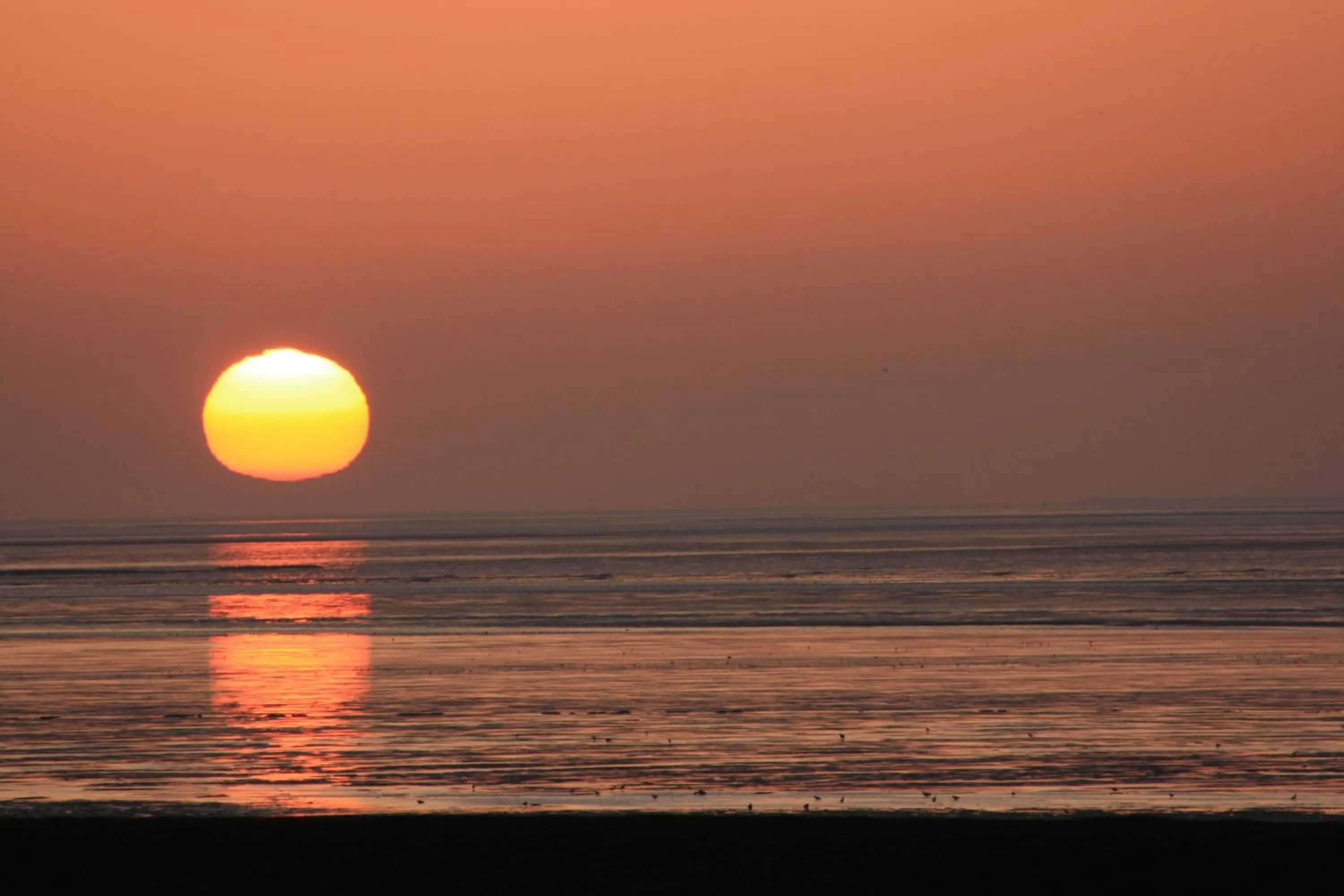 Gasthof Großer Krug