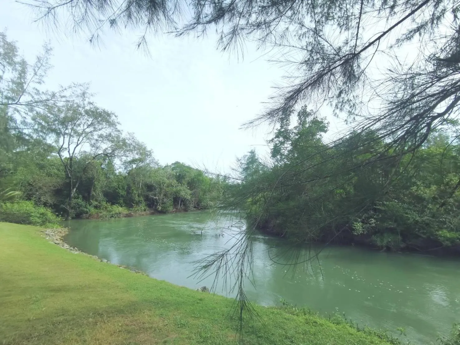 Natural landscape in Mission Hills Phuket Golf Resort-SHA Extra Plus