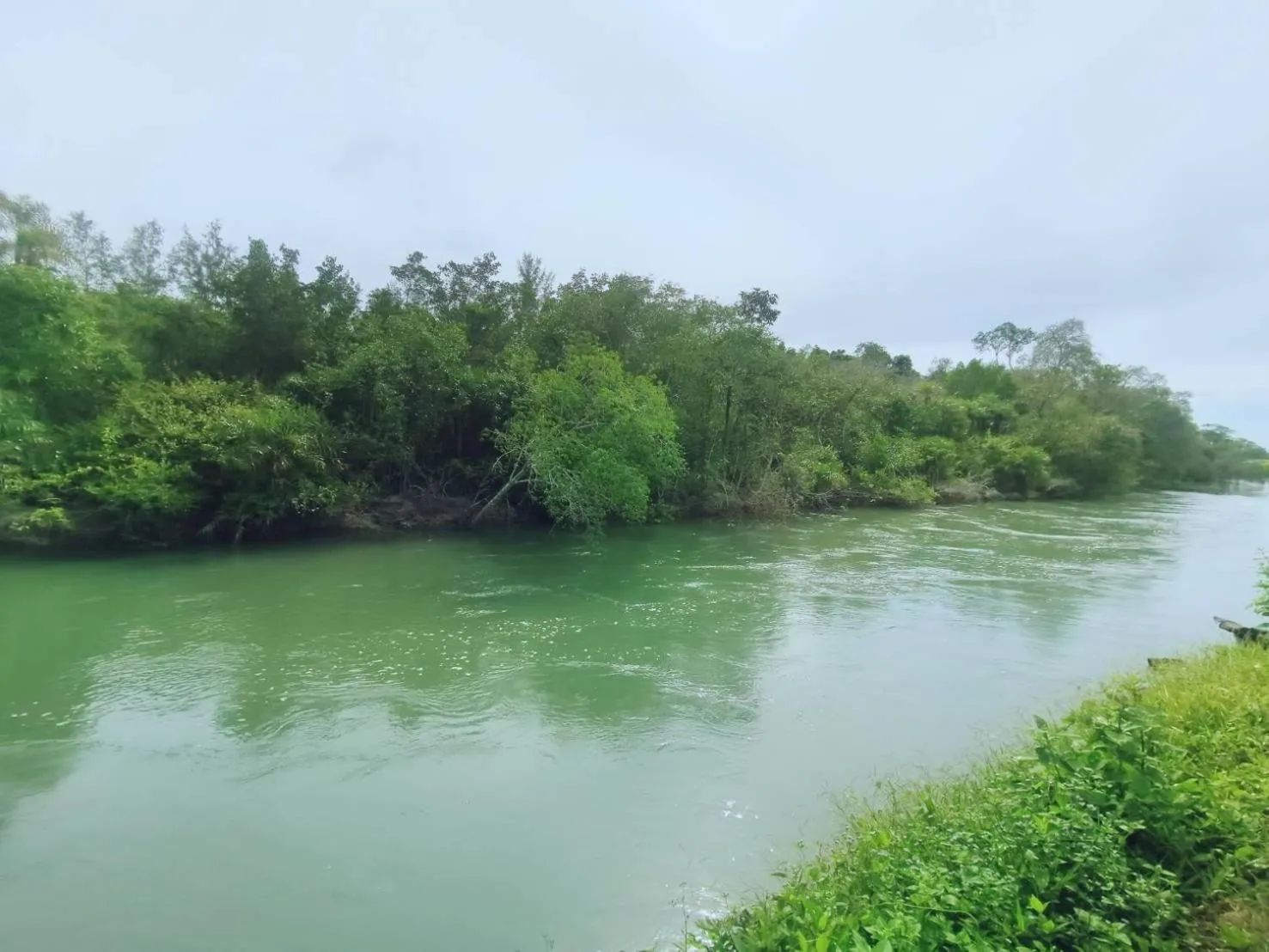 Natural landscape in Mission Hills Phuket Golf Resort-SHA Extra Plus