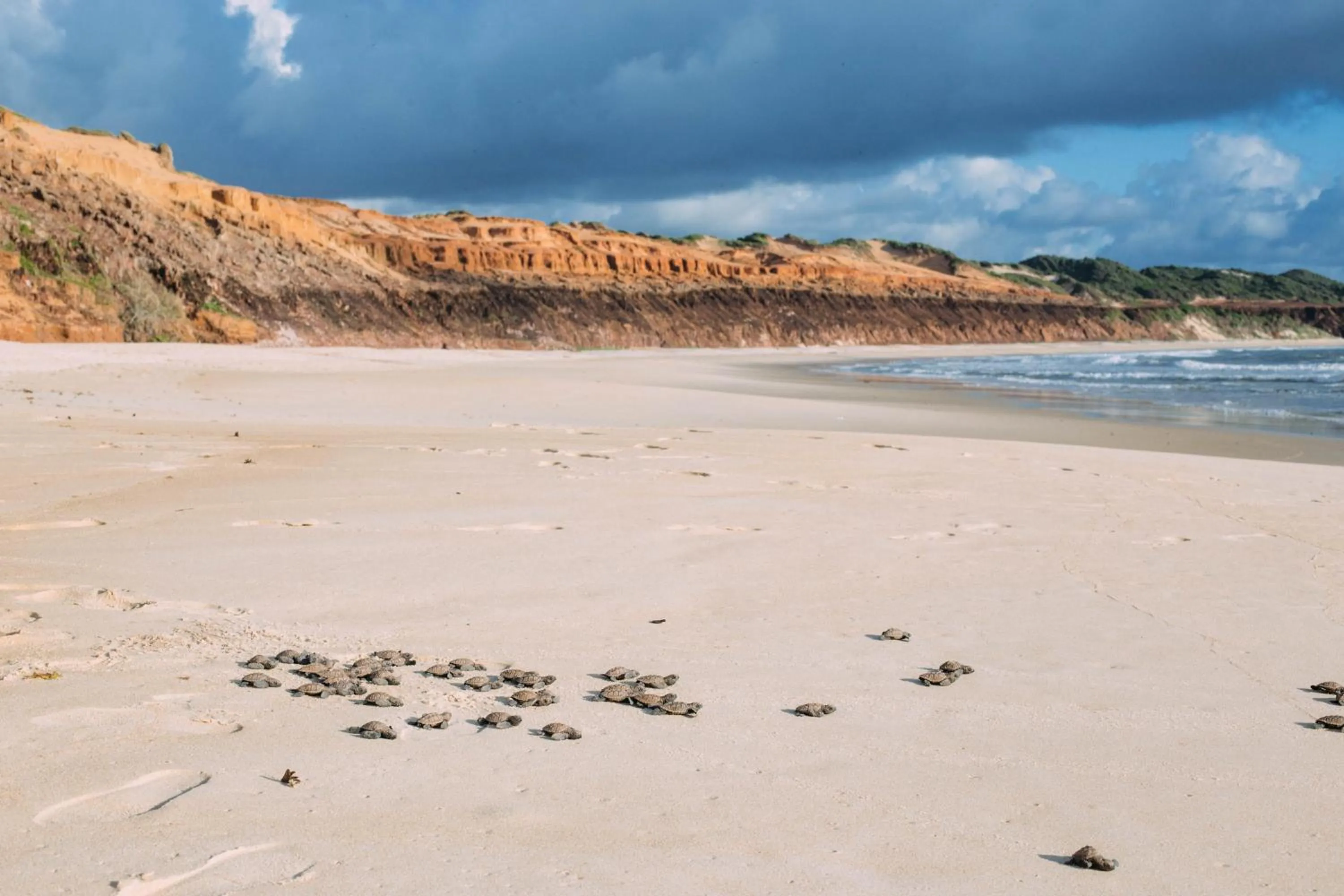 Beach in Kilombo Villas & Spa