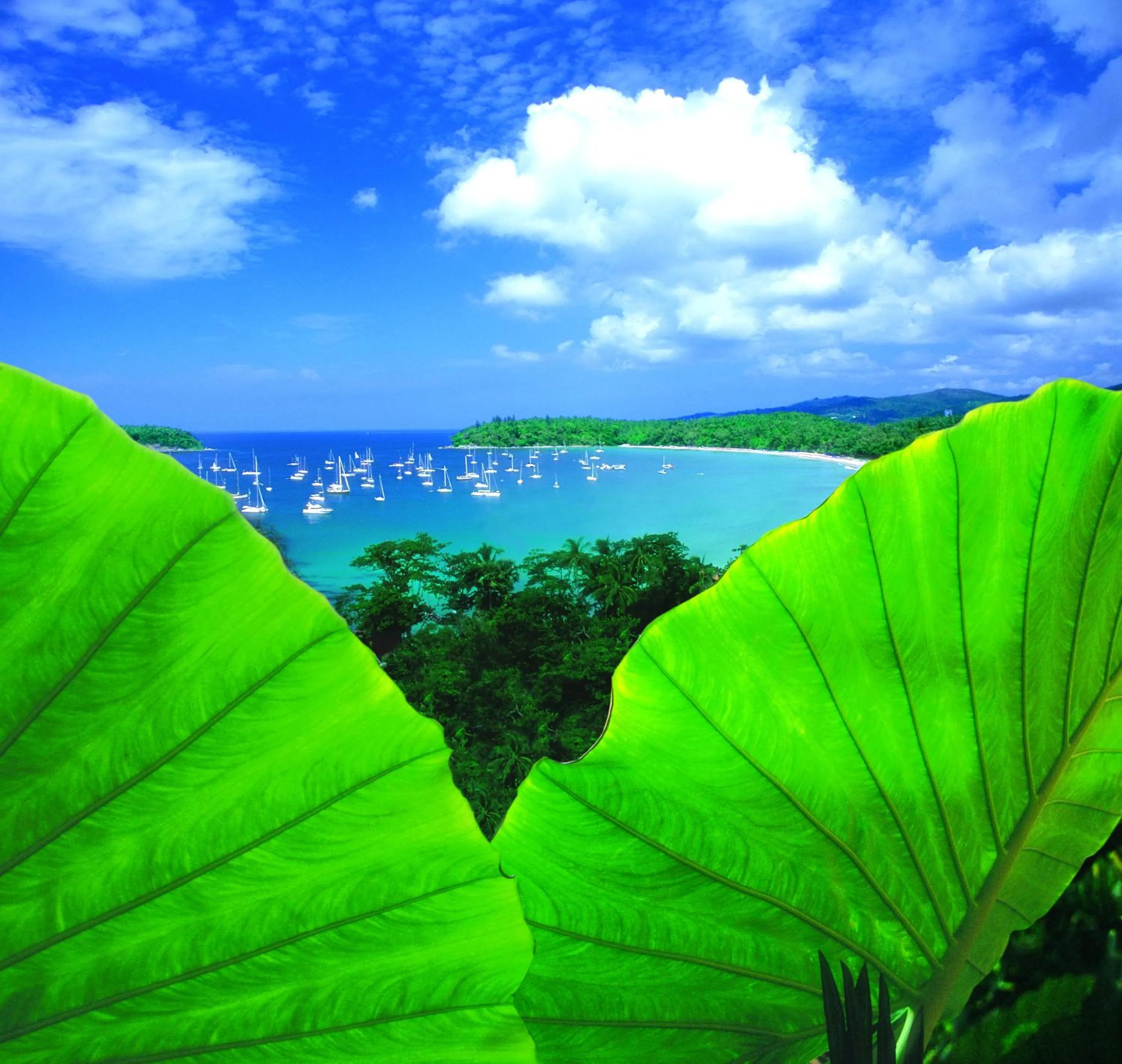 Garden in Chanalai Garden Resort, Kata Beach