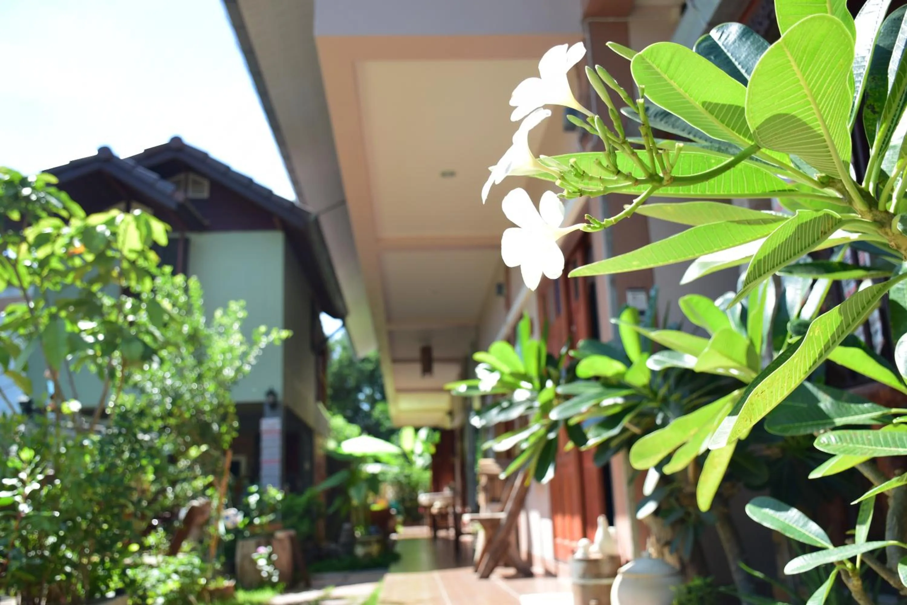 Facade/entrance in Siam Guesthouse