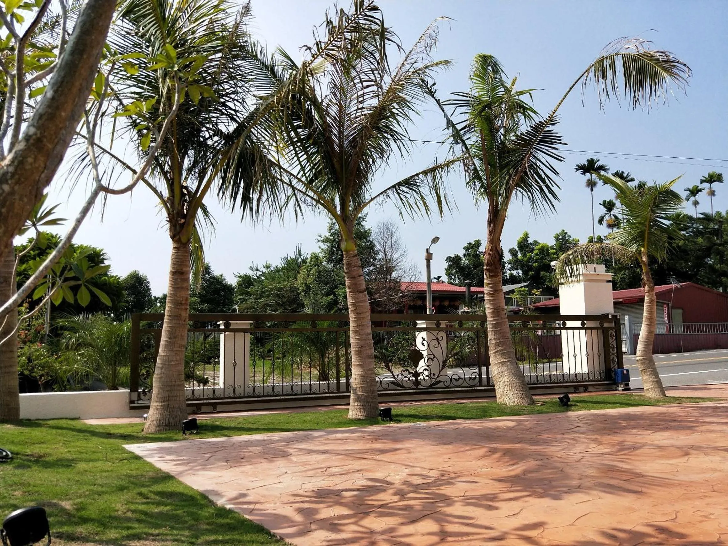 Garden in Kurumba JiJi B&B