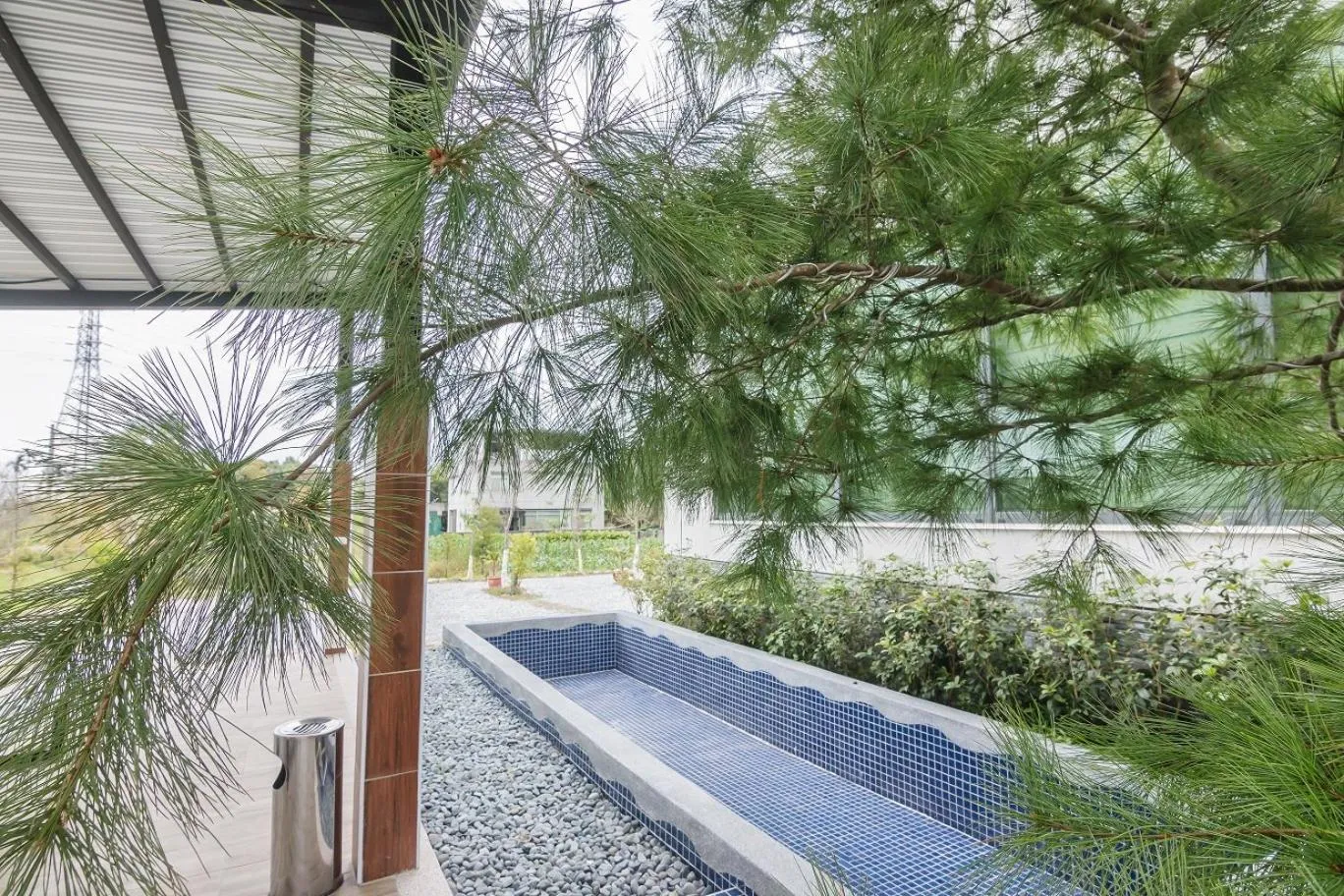 Swimming pool in The Dawn B&B