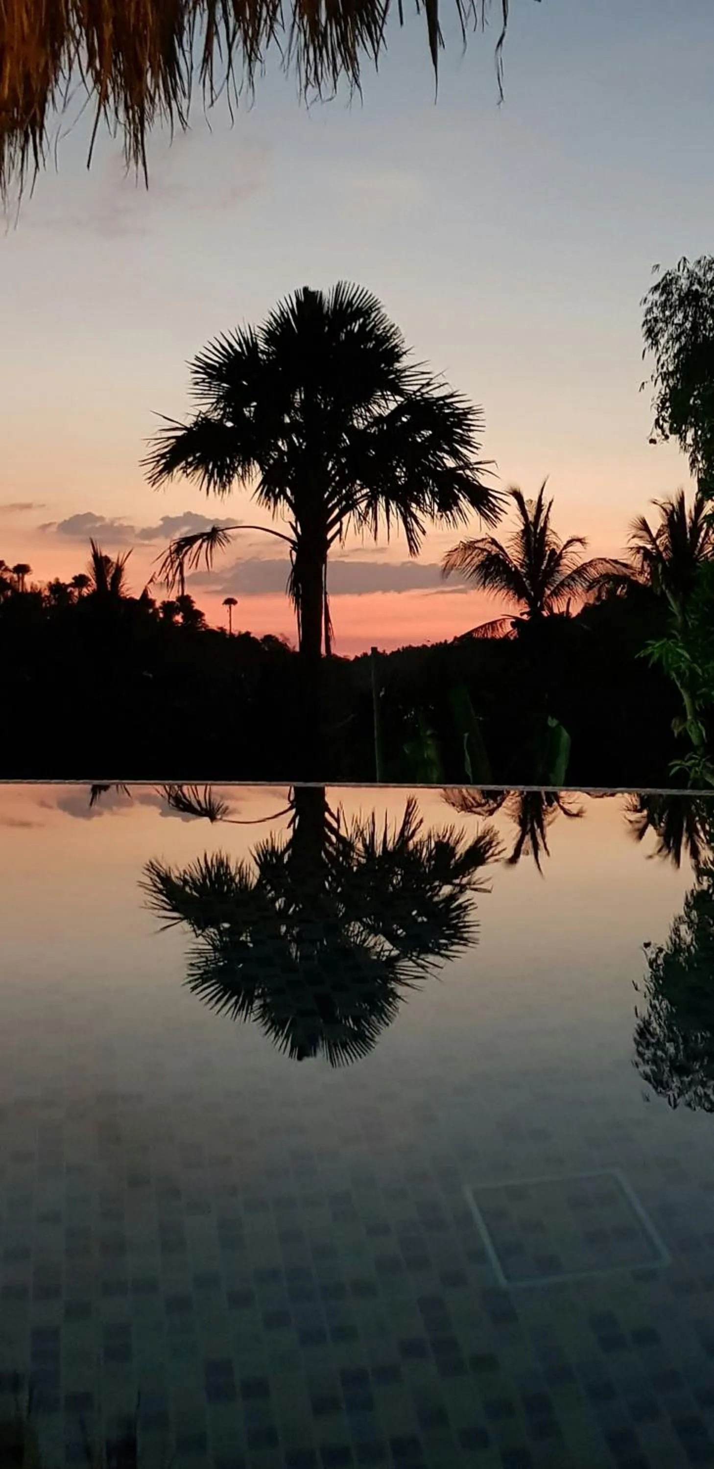 Natural landscape in Jalyn's Resort Sabang