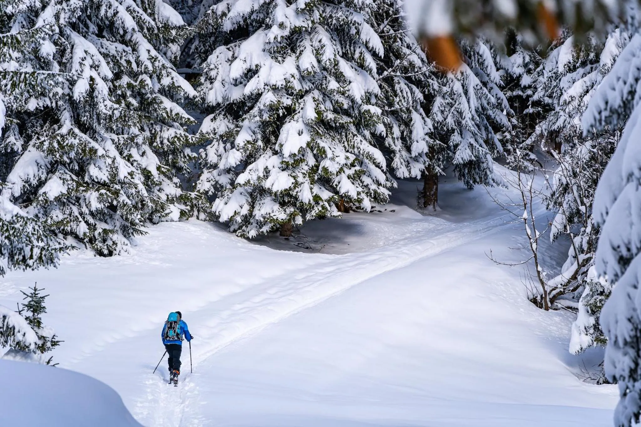 Winter in Vitalhotel Gosau