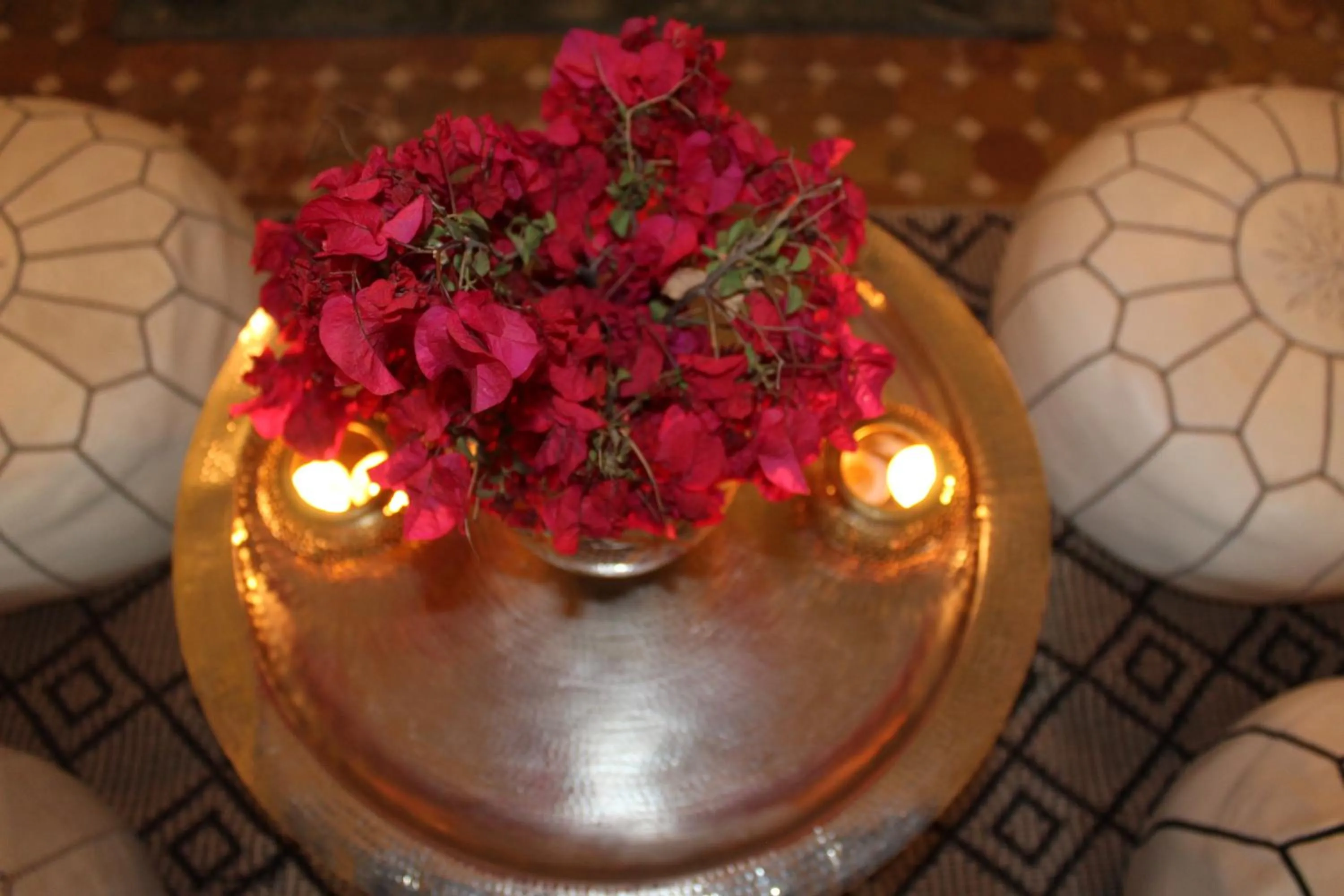 Garden in Riad El Arco ROOFTOP POOL & Spa