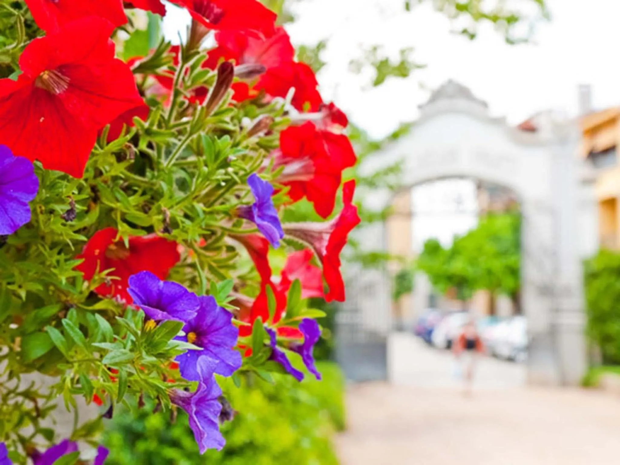 Garden in Hotel Balneario Prats
