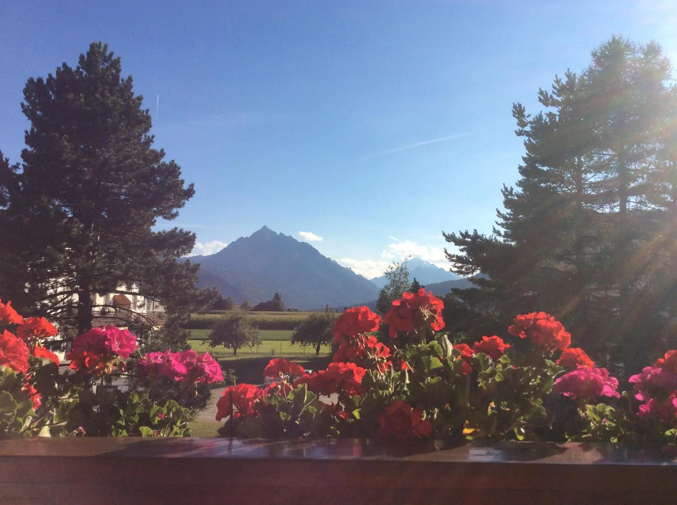 Garden view in Haus Angelika - bed & breakfast - Innsbruck/Igls
