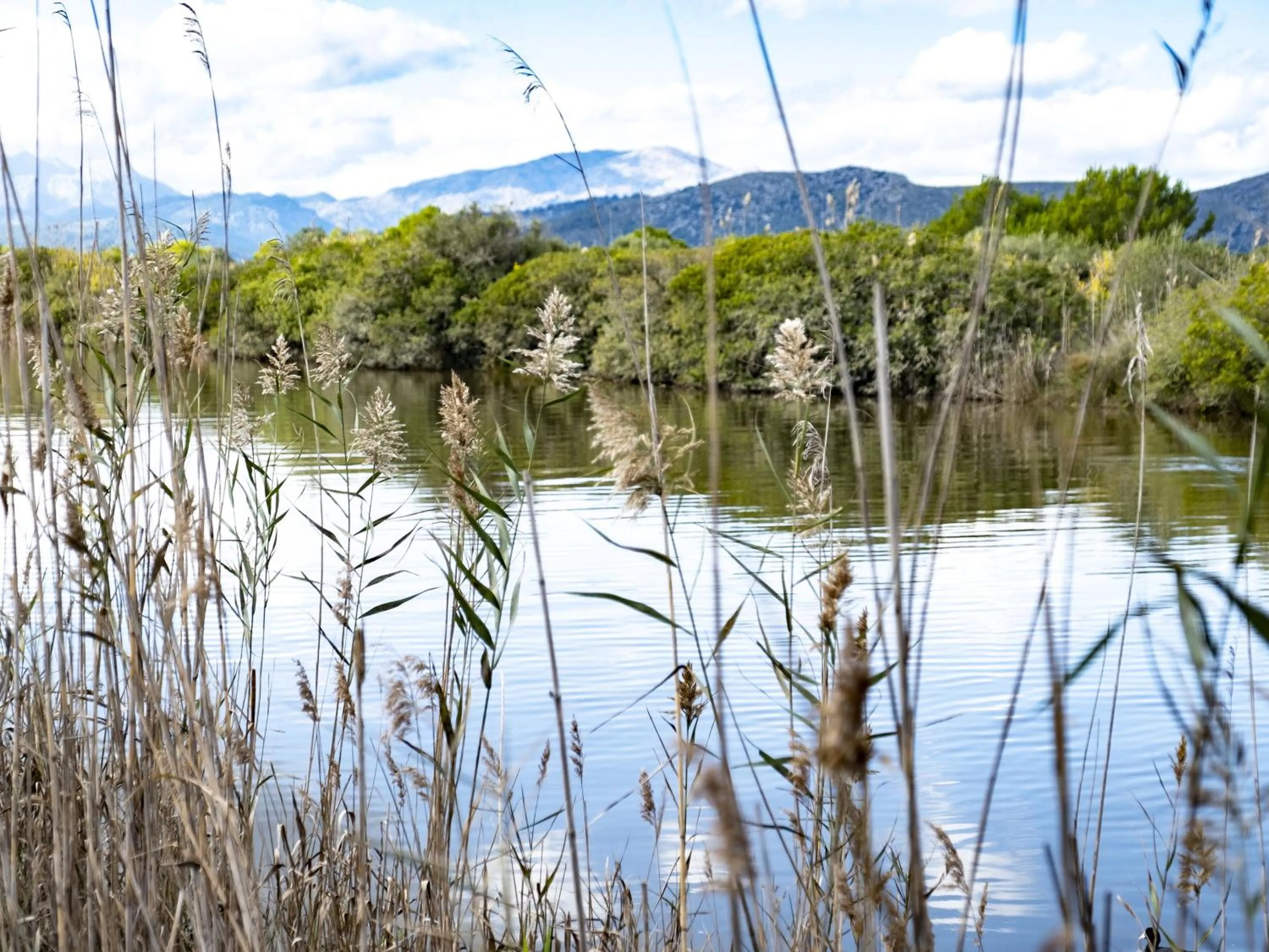Natural landscape in Eix Lagotel Holiday Resort