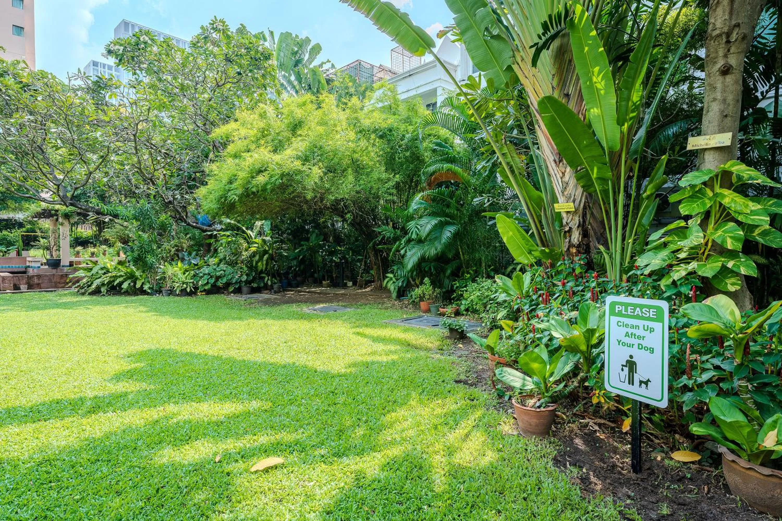 Garden in Somerset Park Suanplu Bangkok