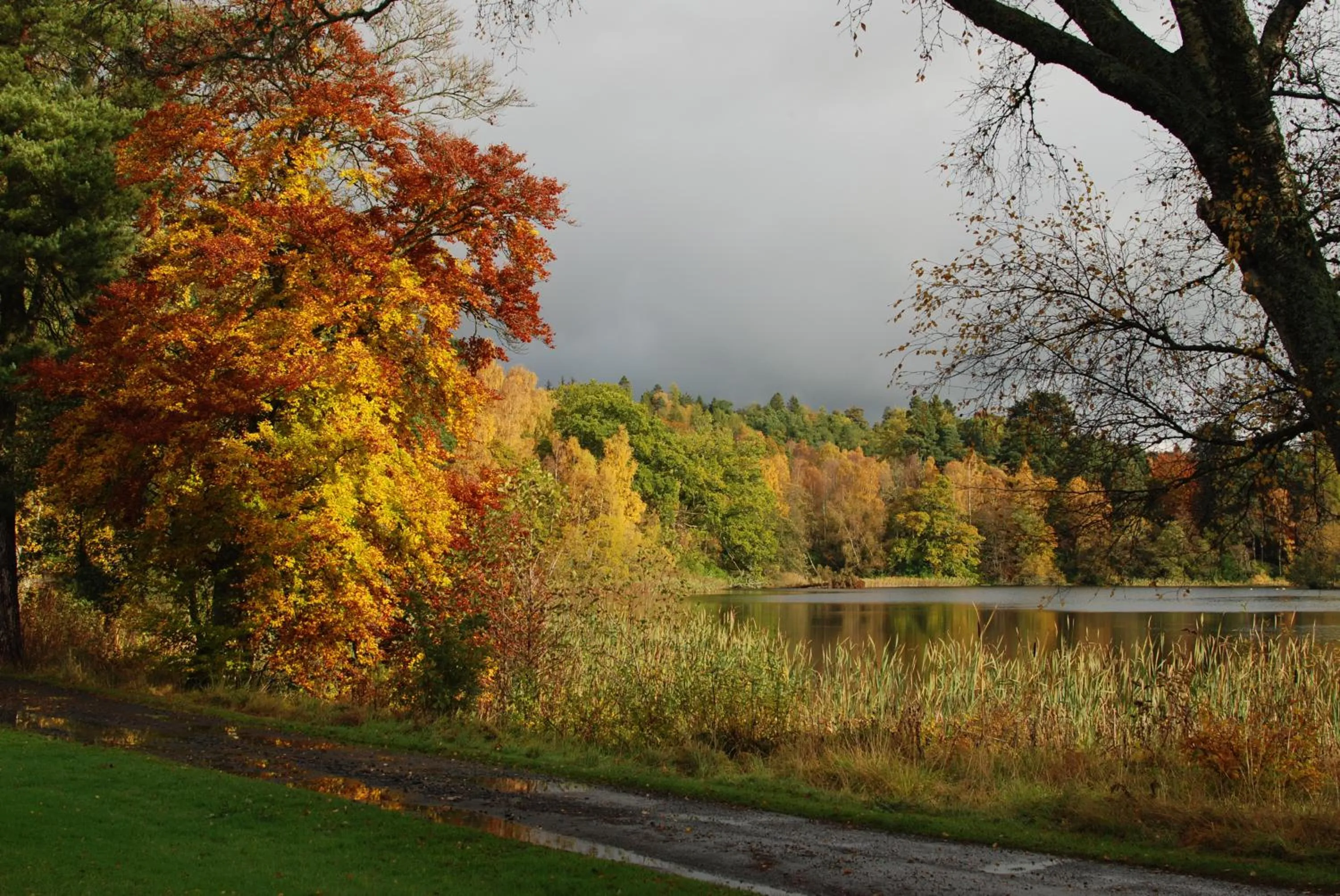 Loch Monzievaird Chalets