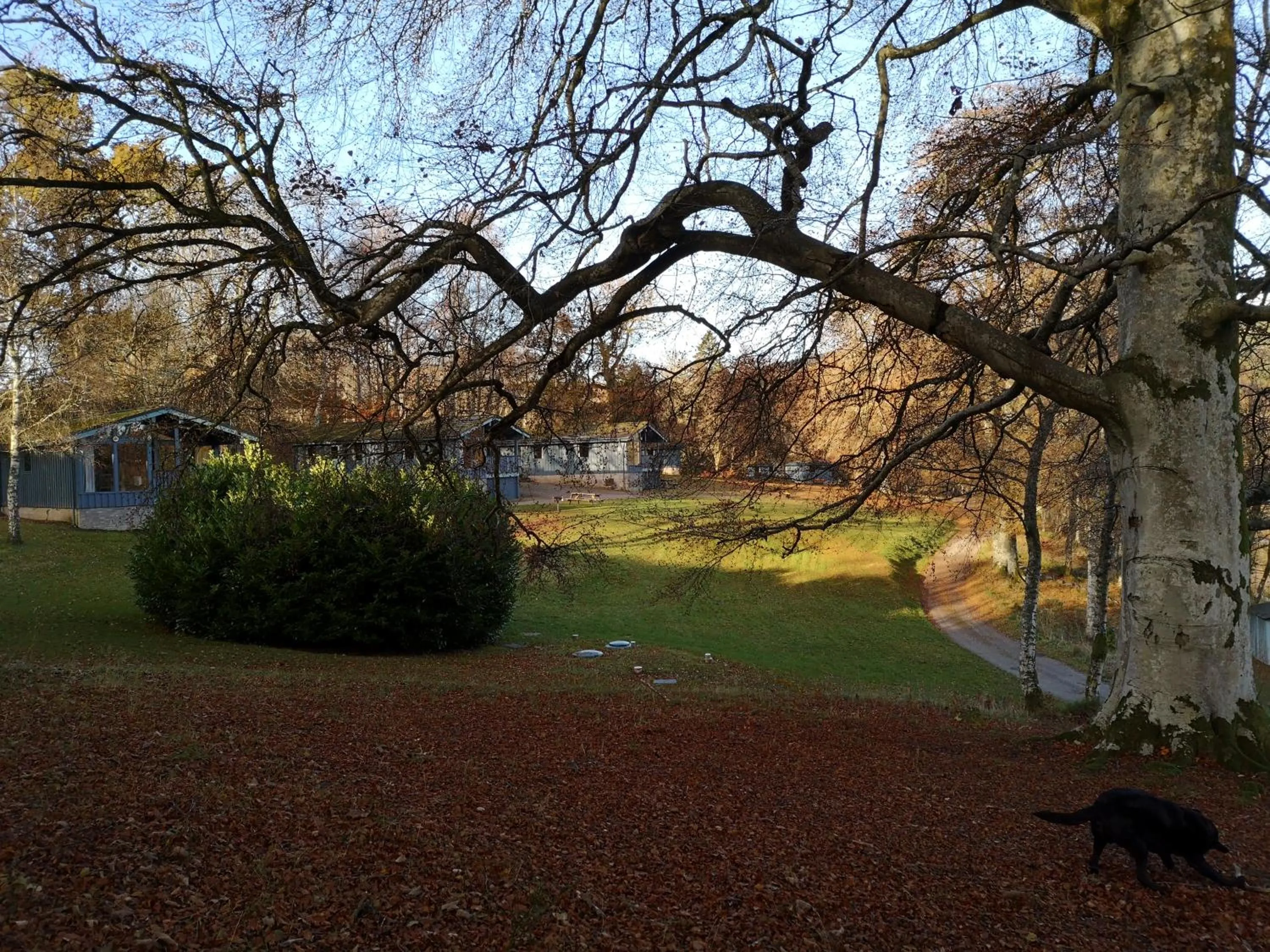 Loch Monzievaird Chalets