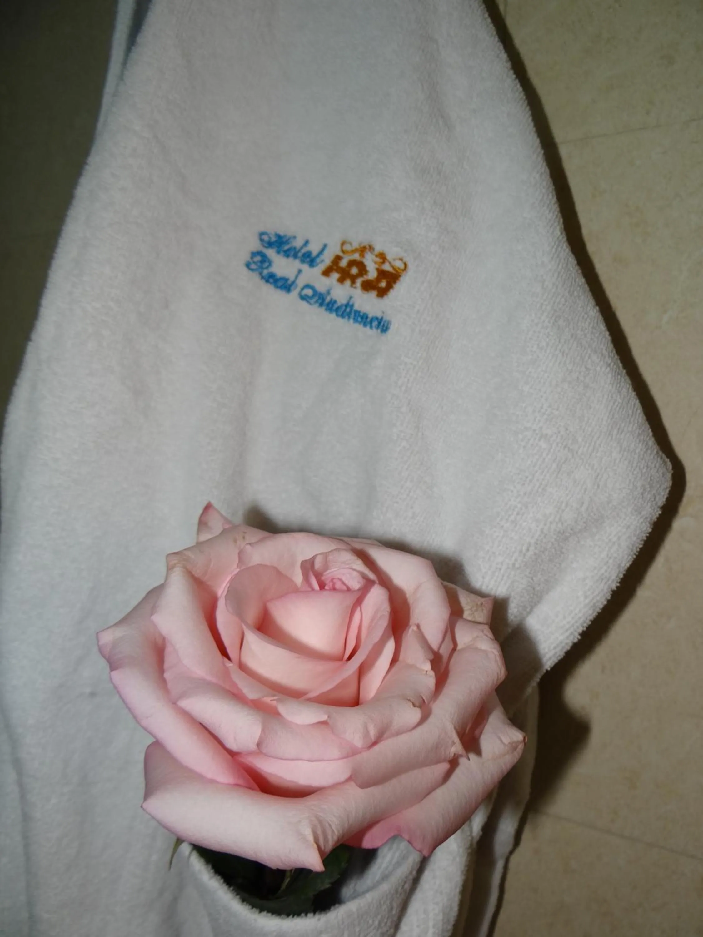 Decorative detail in Hotel Real Audiencia