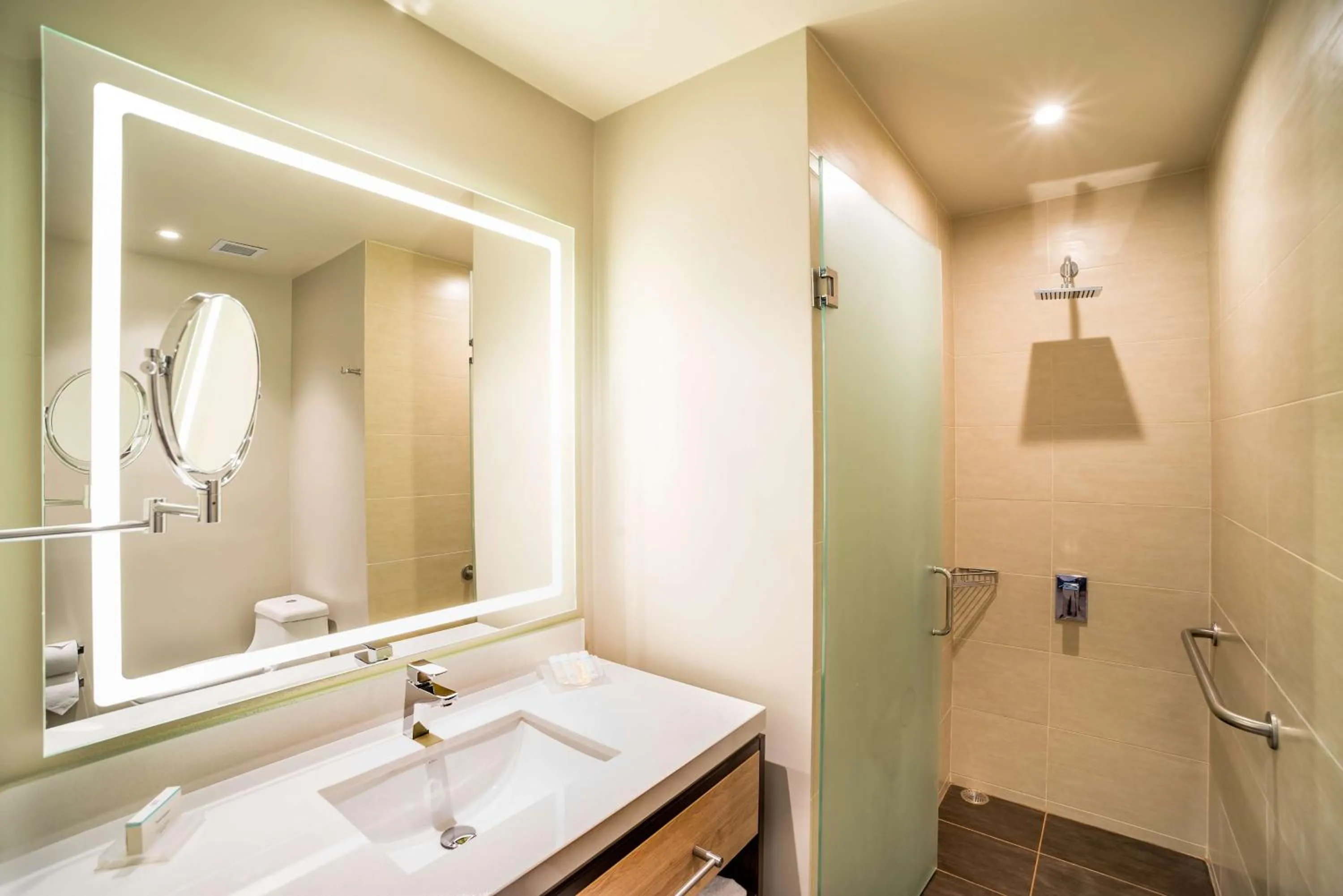 Bathroom in Hilton Garden Inn Bogota Airport