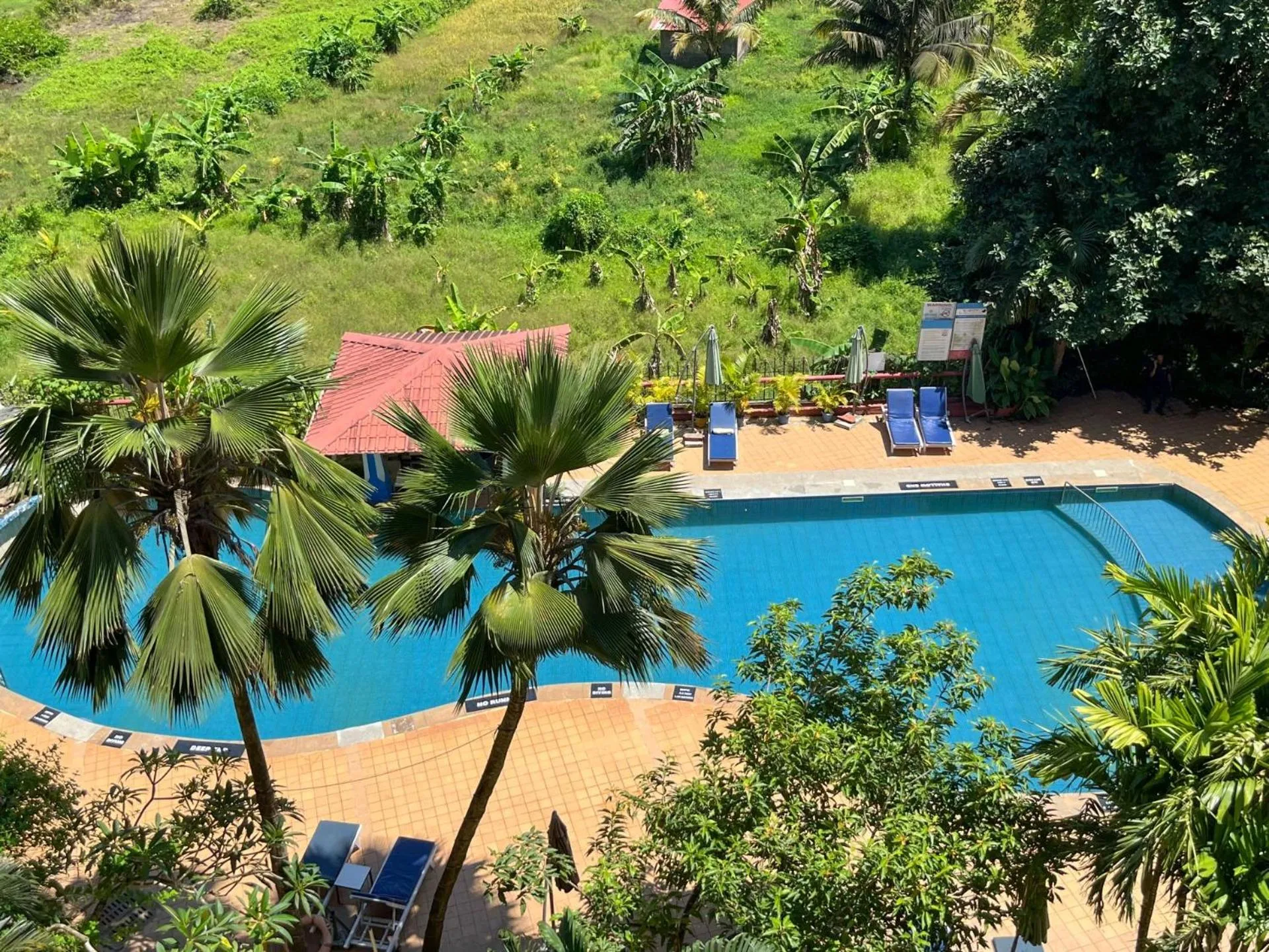 Pool view in Acron Candolim Regina