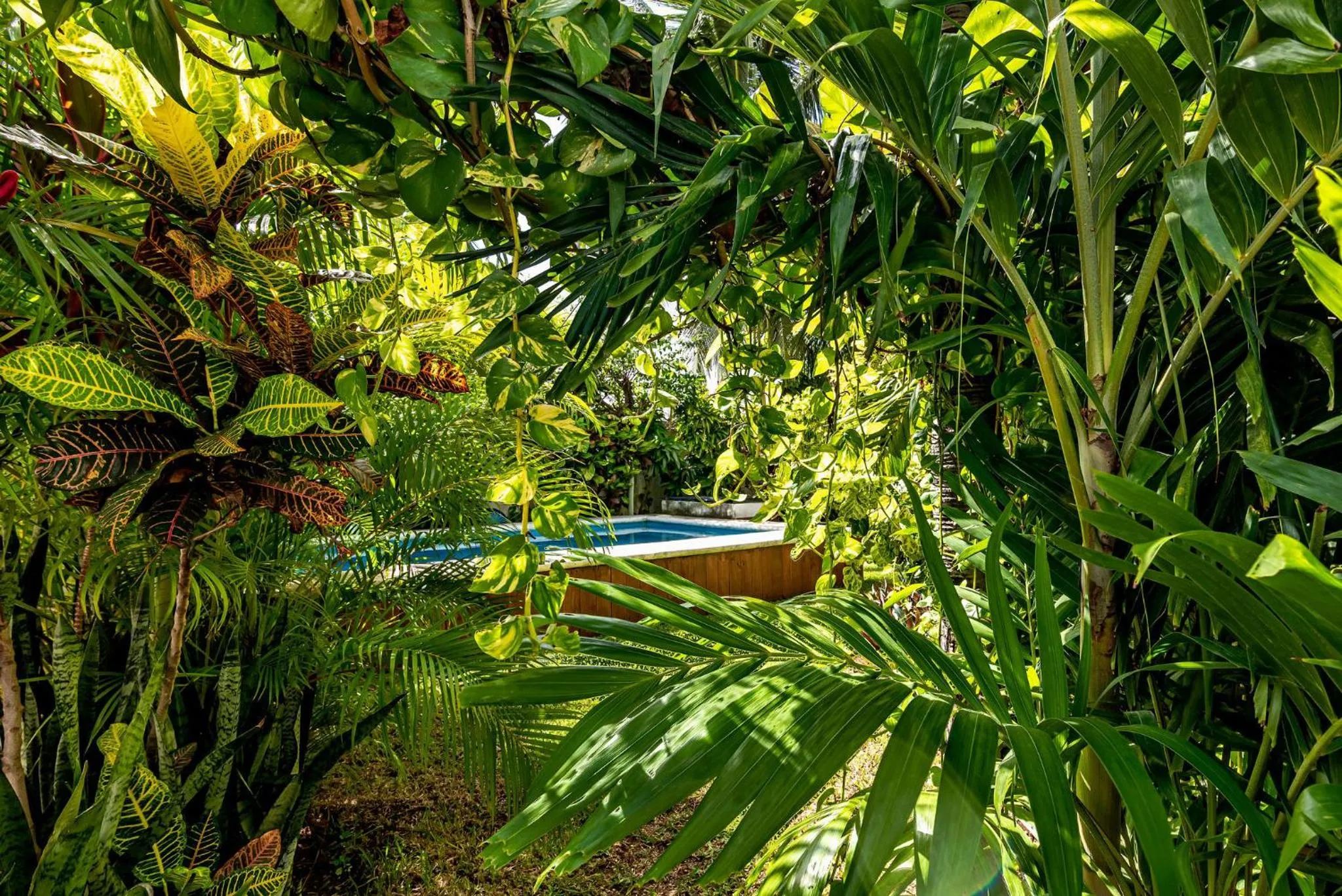 Garden in Casa Nona Azul