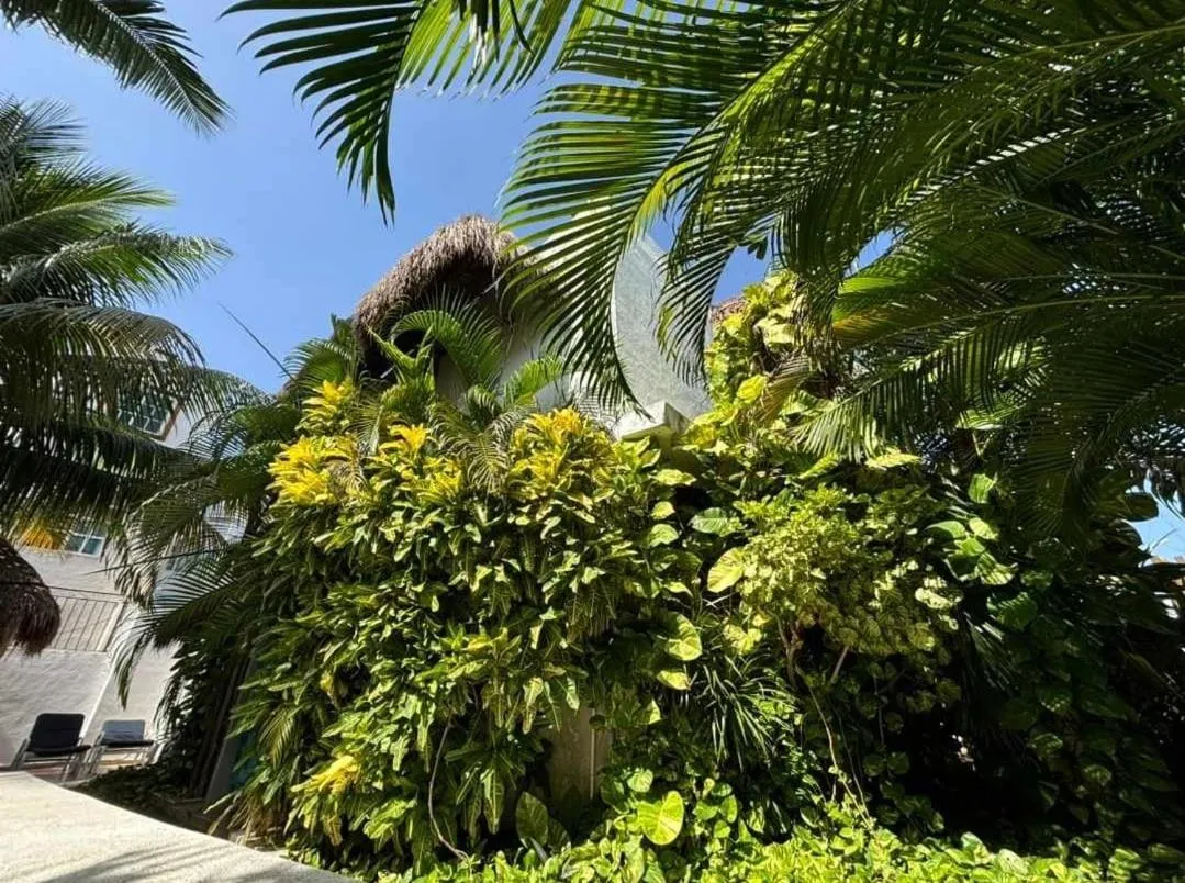 Natural landscape in Casa Nona Azul