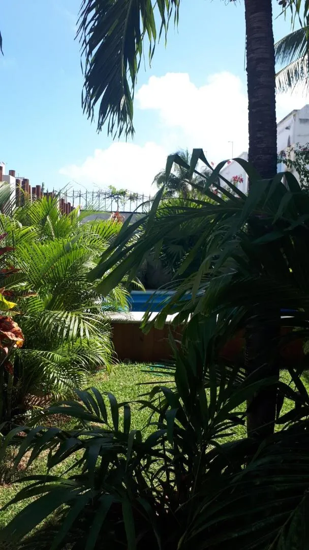 Garden view in Casa Nona Azul