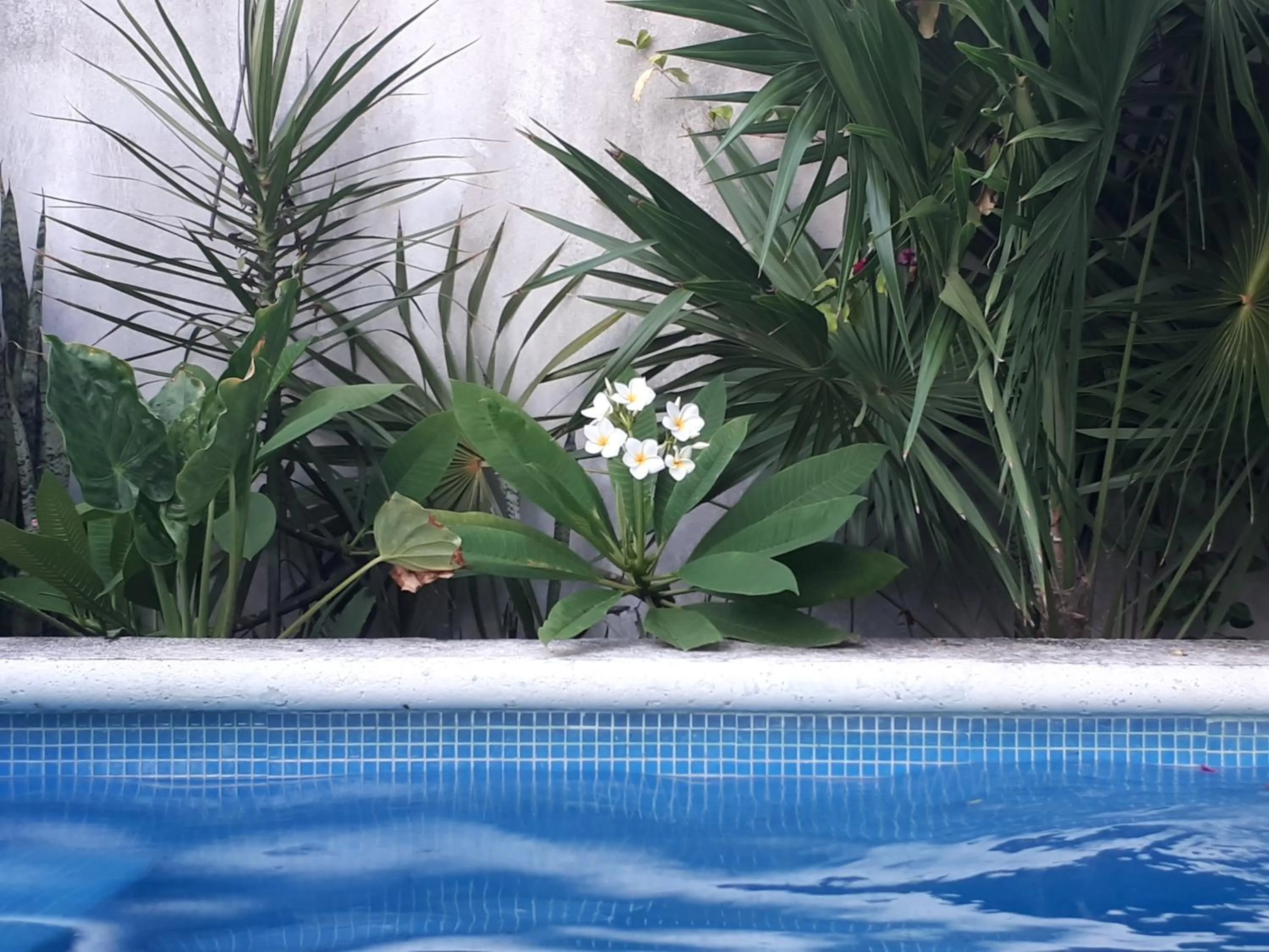 Activities in Casa Nona Azul