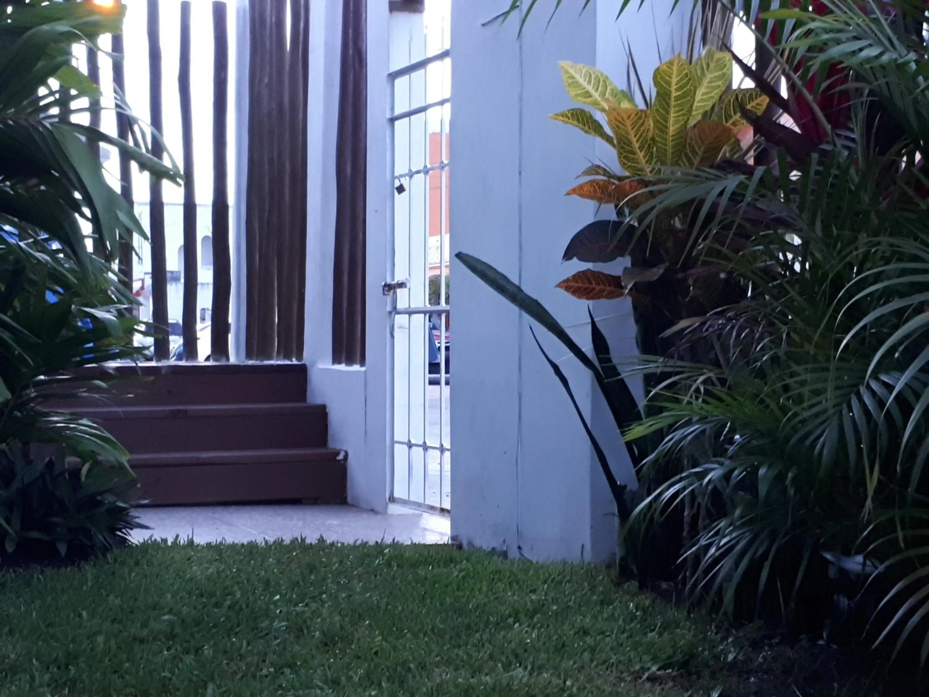 Garden in Casa Nona Azul