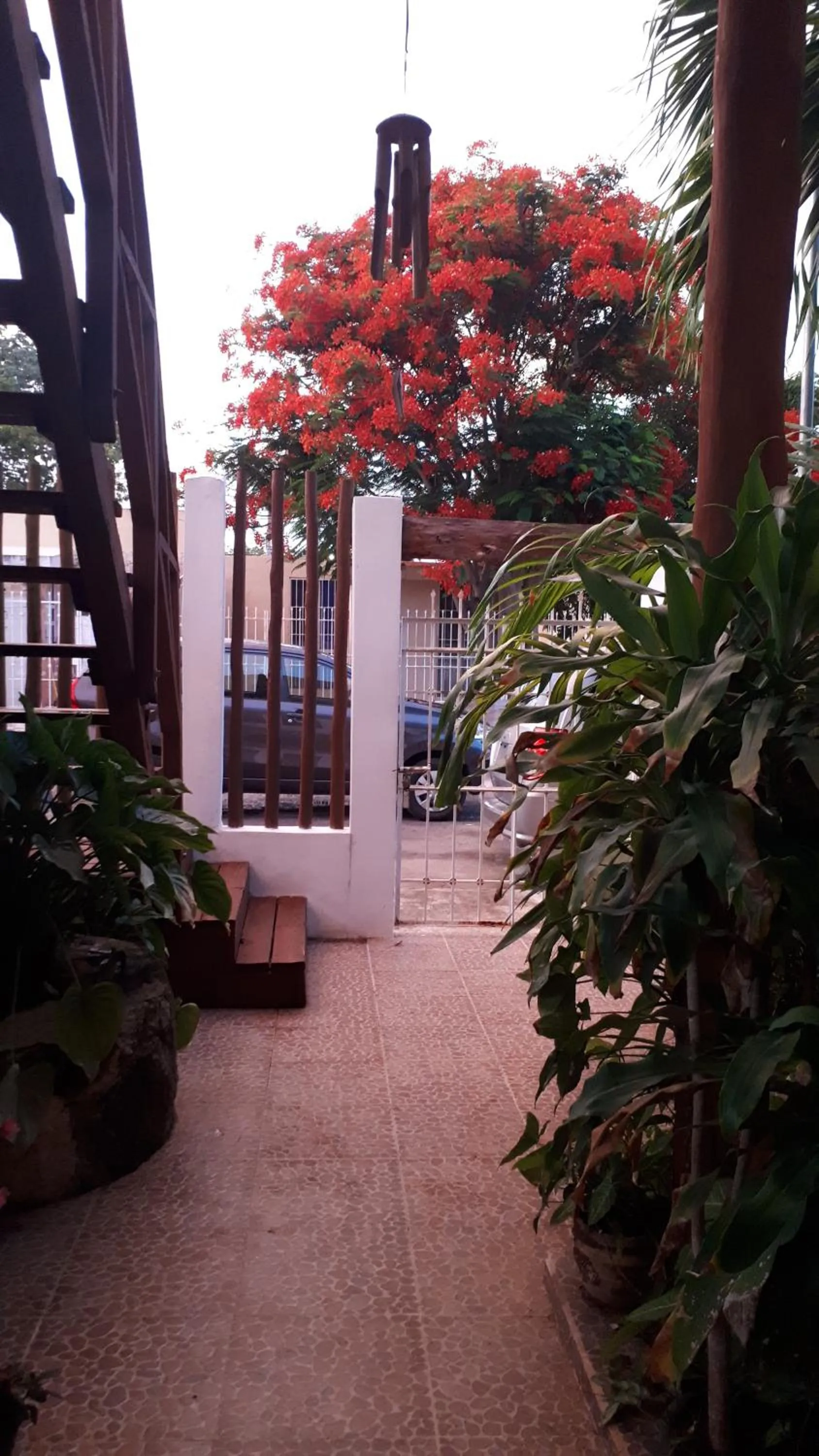 Patio in Casa Nona Azul