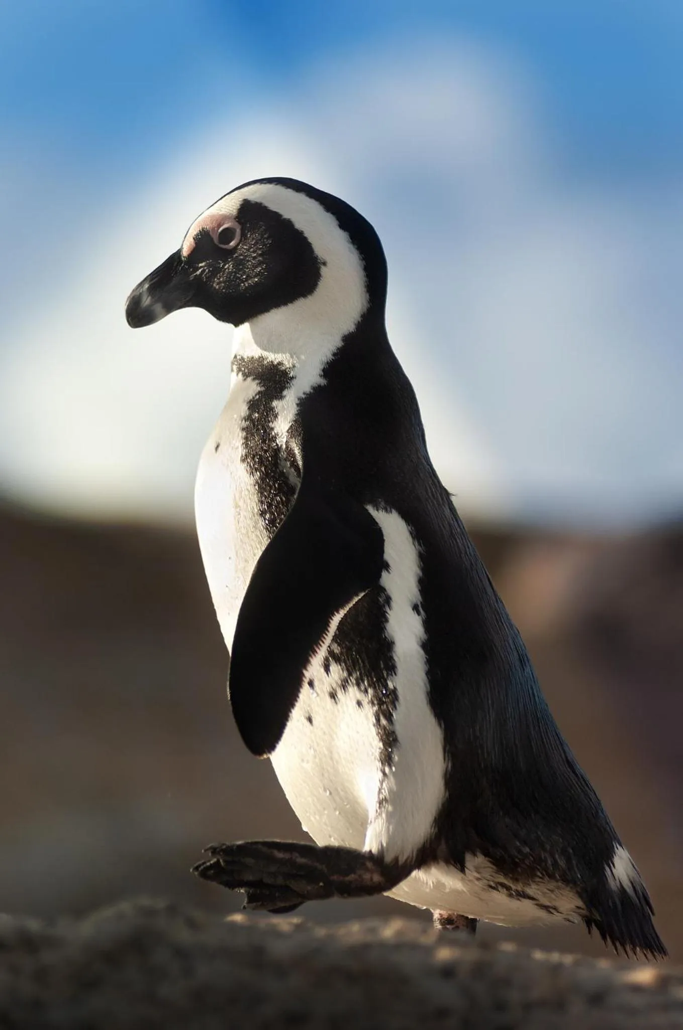 Nearby landmark in The Grosvenor Guest House & Self Catering