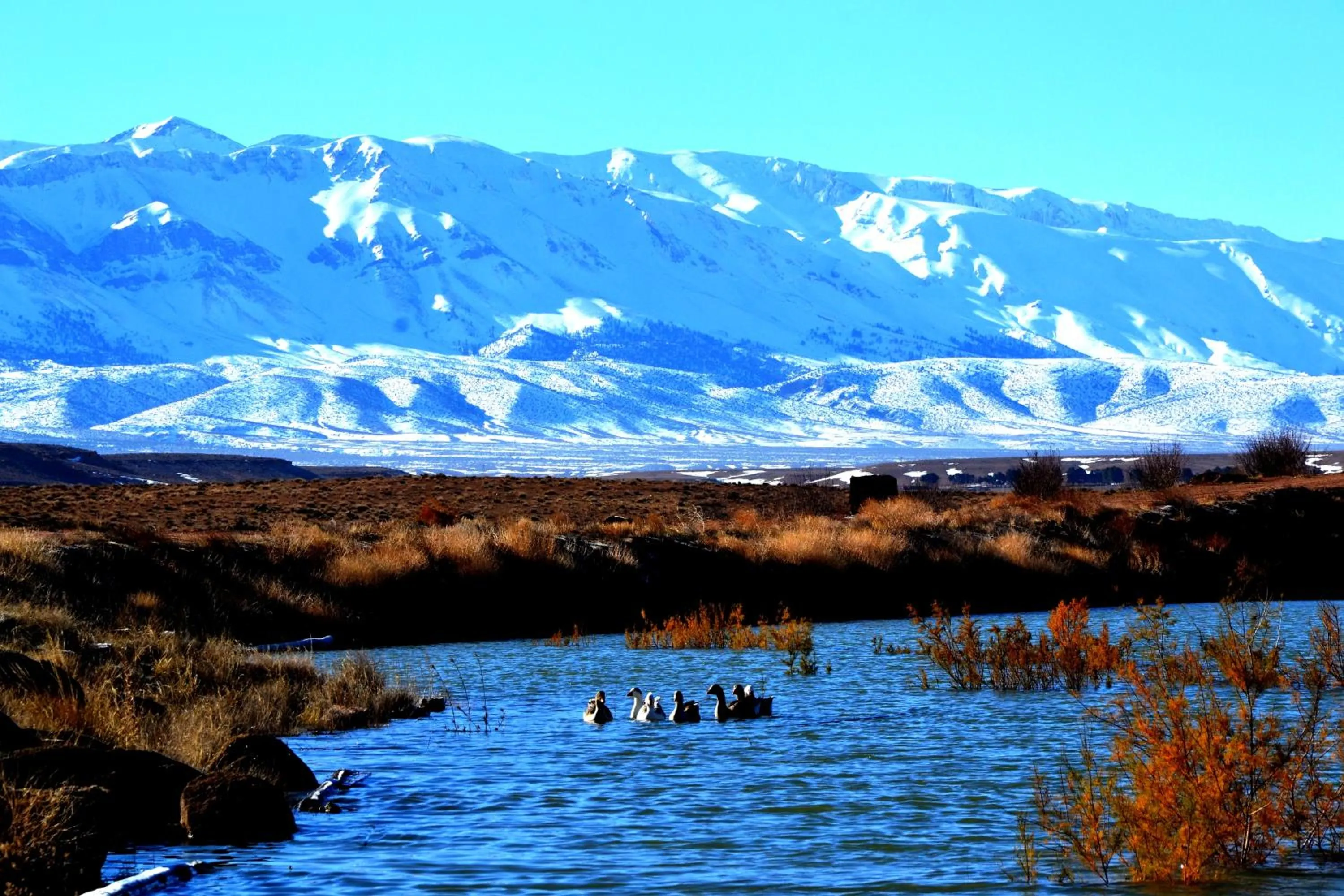 Riad Mimouna De Timnay