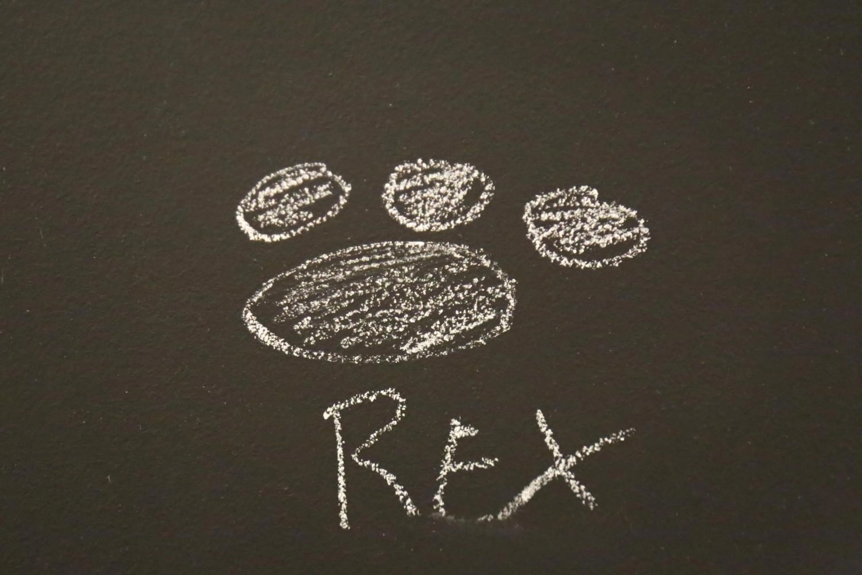 Decorative detail in Thematic Rooms - AThema Atmosphere