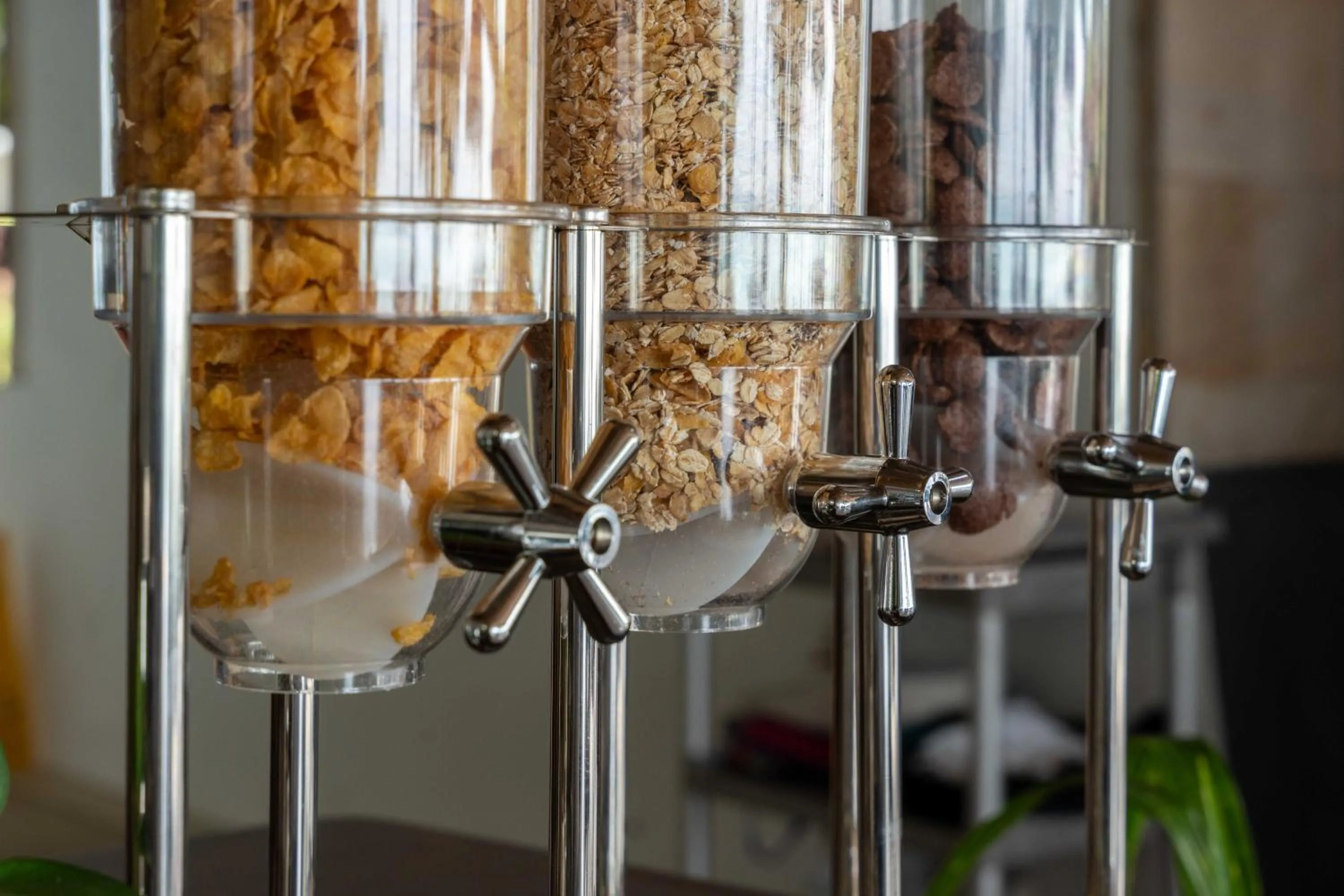 Food and drinks in Samaya Wellness Resort