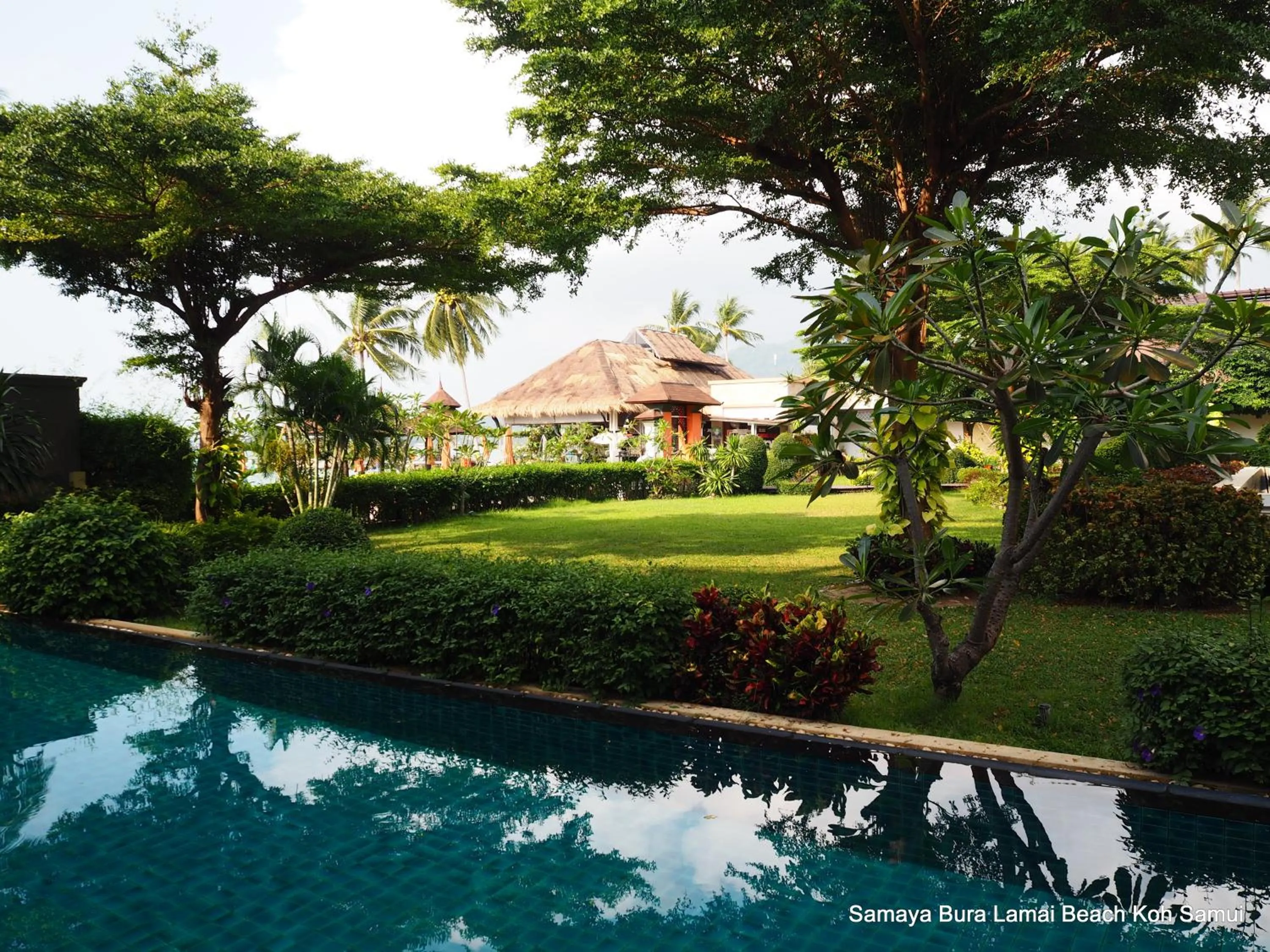Garden in Samaya Wellness Resort